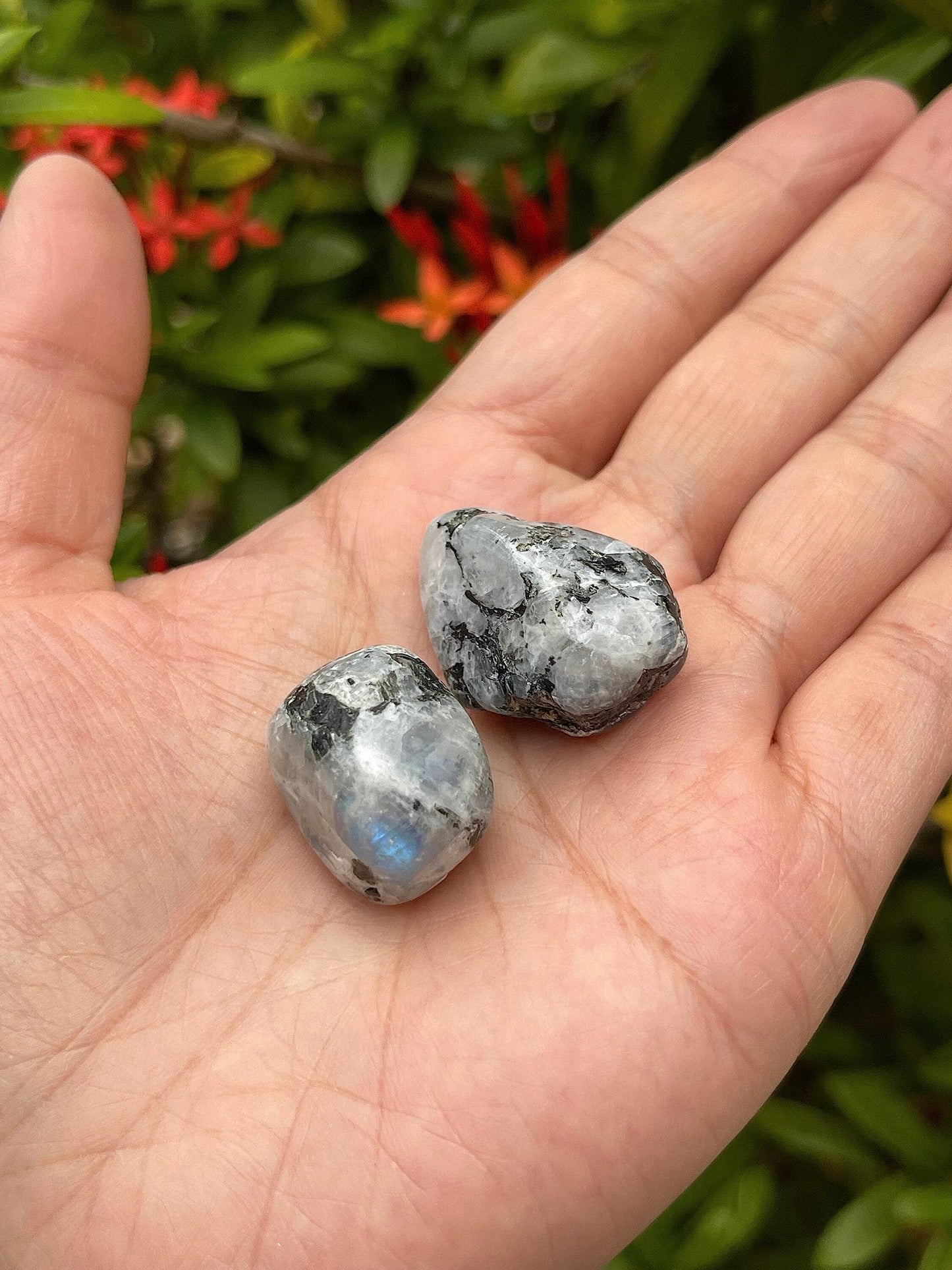 GAF TREASURES 5 Pcs Rainbow Moonstone Tumbled Stones, Polished Rainbow Moonstone Gemstone, Rainbow Moonstone Healing Crystals (Rainbow Moonstone)