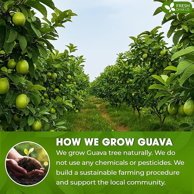 Premium 1.1oz Guava Leaf Pure Powder | Supports Stronger Digestion, Blood Sugar Balance, Detox & Immunity | Natural Herbal Superfood | Non-GMO, Gluten-Free, Vegan