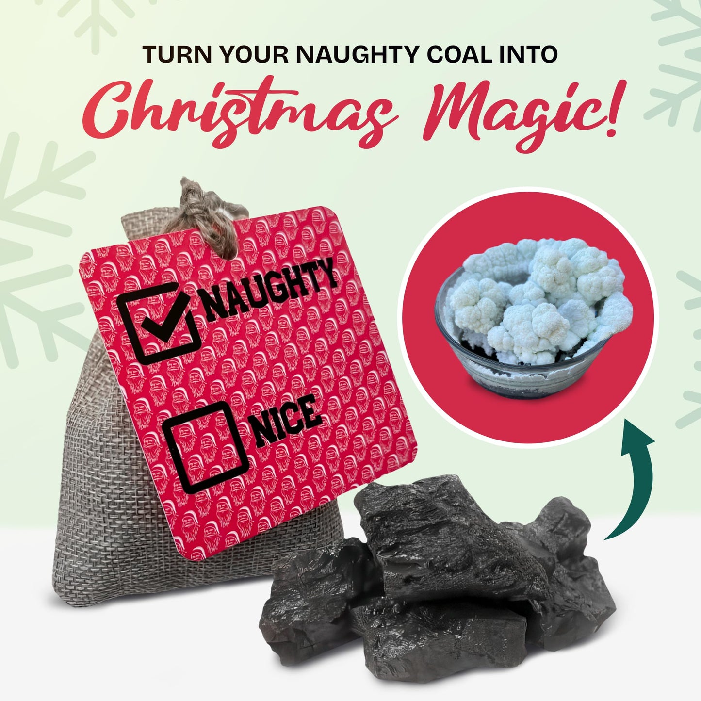 Lump of Coal Christmas Stocking Stuffer – Approximately 2.5 oz Real Coal in Burlap Bag – Gag Gift with Snowflake Crystal Growing Experiment – STEM Learning Experiment for All - Bag of Coal Gag Gift
