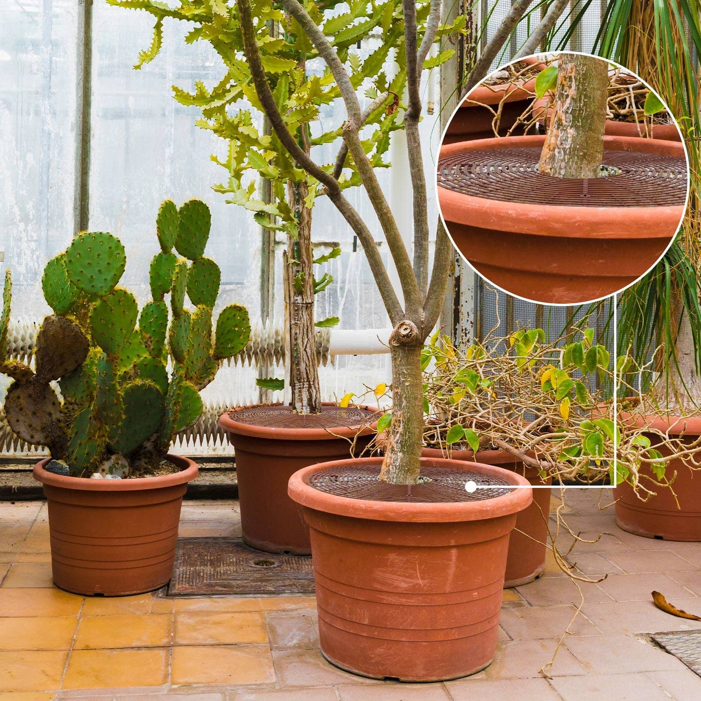 YGAOHF 5 Pcs 20.8" Plant Pot Grid Cover, Cuttable Grid Flower Pot Cover with 60 Stakes, Large Plastic Plant Pot Soil Protector with Center Cutout, Pet Cat Digging Stopper