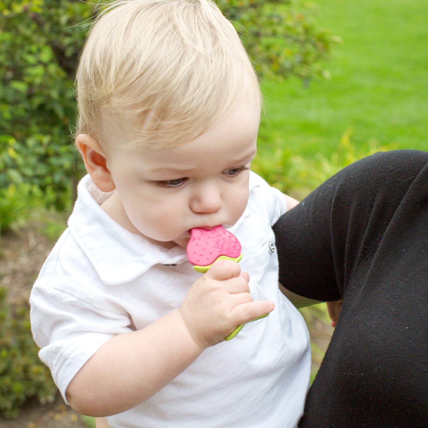 Innobaby Original Teethin Smart EZ Grip Fruit Teether and Sensory Toy for Babies and Toddlers in Apple. BPA Free Teether