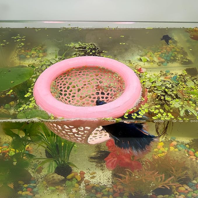 Aquarium Floating Betta Fish Skins, Betta or Shrimp Feeder, Cave and Hammock, Small Fish Feeding Rings, Aquarium Hiding Feeding Decorative Accessories (Cyan)