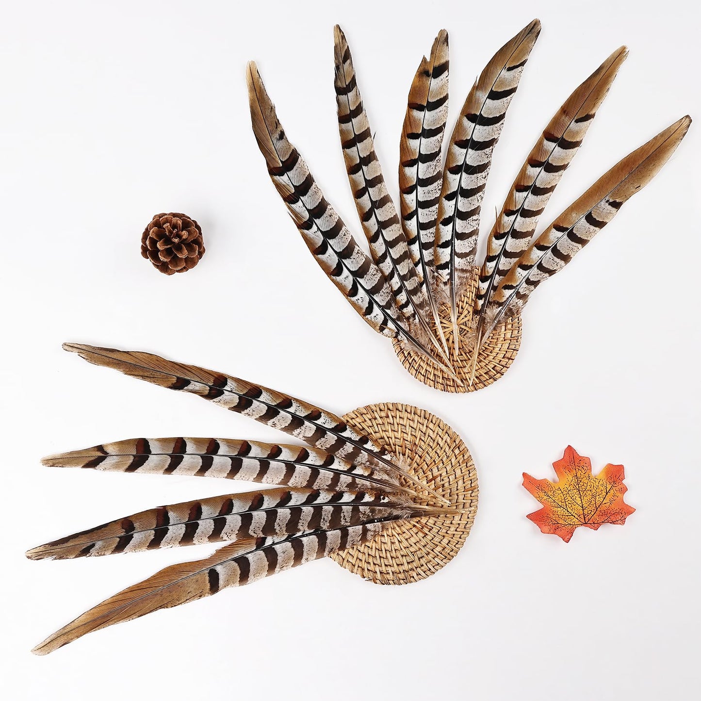 MehelloFeather Feather 5Pcs for Crafts Home Wedding Party Performance DIY Decoration