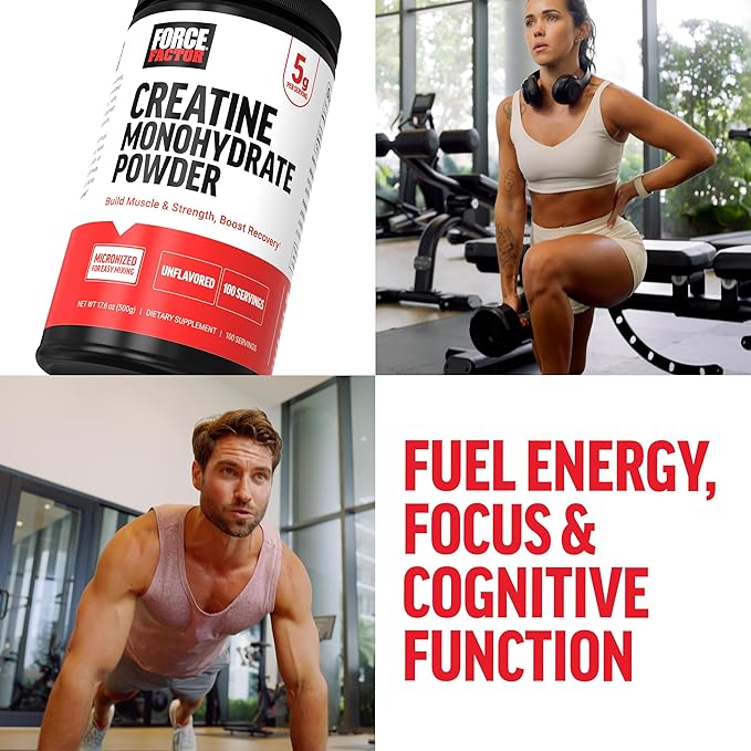 FORCE FACTOR Creatine Monohydrate Powder, Micronized Creatine for Muscle Growth, Strength & Recovery, Clinically Studied 5g Dose per Serving, Unflavored, 100 Servings