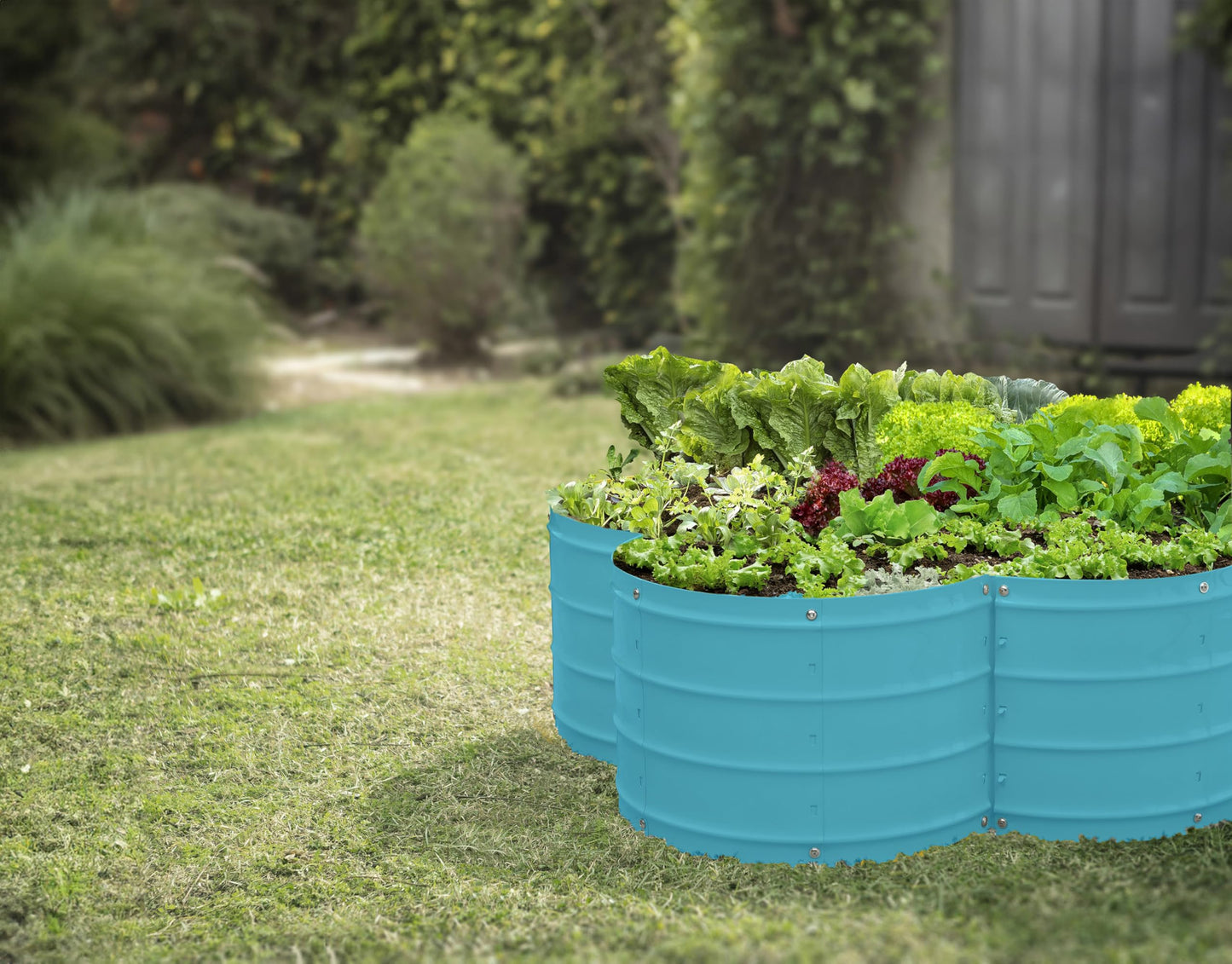 Plant & Plot Galvanized Raised Garden Beds Outdoor // 3×3×1 ft Planter Raised Beds for Gardening, Vegetables, Flowers // Large Metal Garden Box (Teal) // Patented Tool-Free Design
