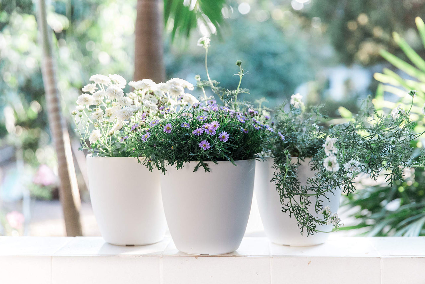 GARDENIX DECOR Self Watering Pots for Indoor Plants 3 Pack - Flower Pot with Water Level Indicator for Plants, Grow Tracking Tool - Self Watering Planter Plant Pot - Coco Coir - White