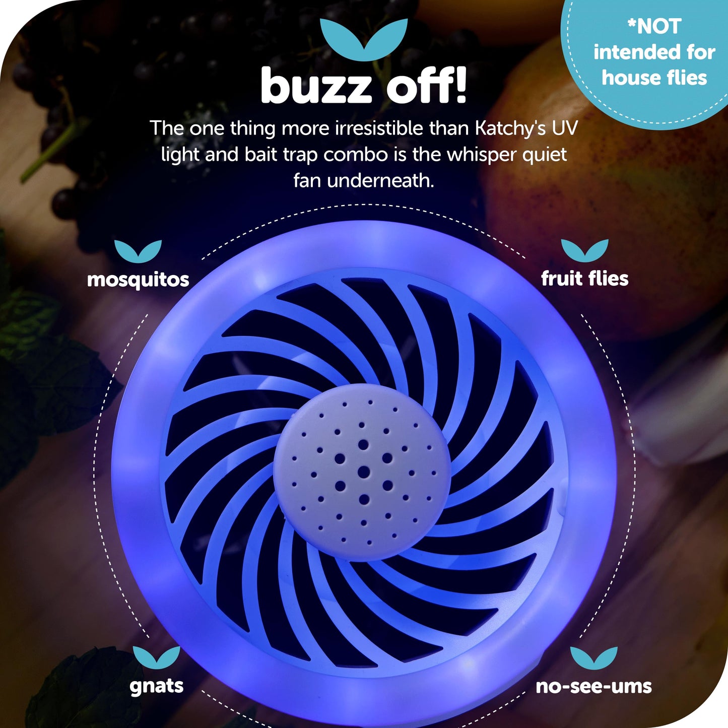 Katchy Duo – Indoor Flying Insect Trap with Scent Pod – Day & Night Effective – Mosquito, Fruit Fly, Gnat & Small Moth Catcher – Non-Zapper Trap with Blue UV Light & Fan Suction (Black)