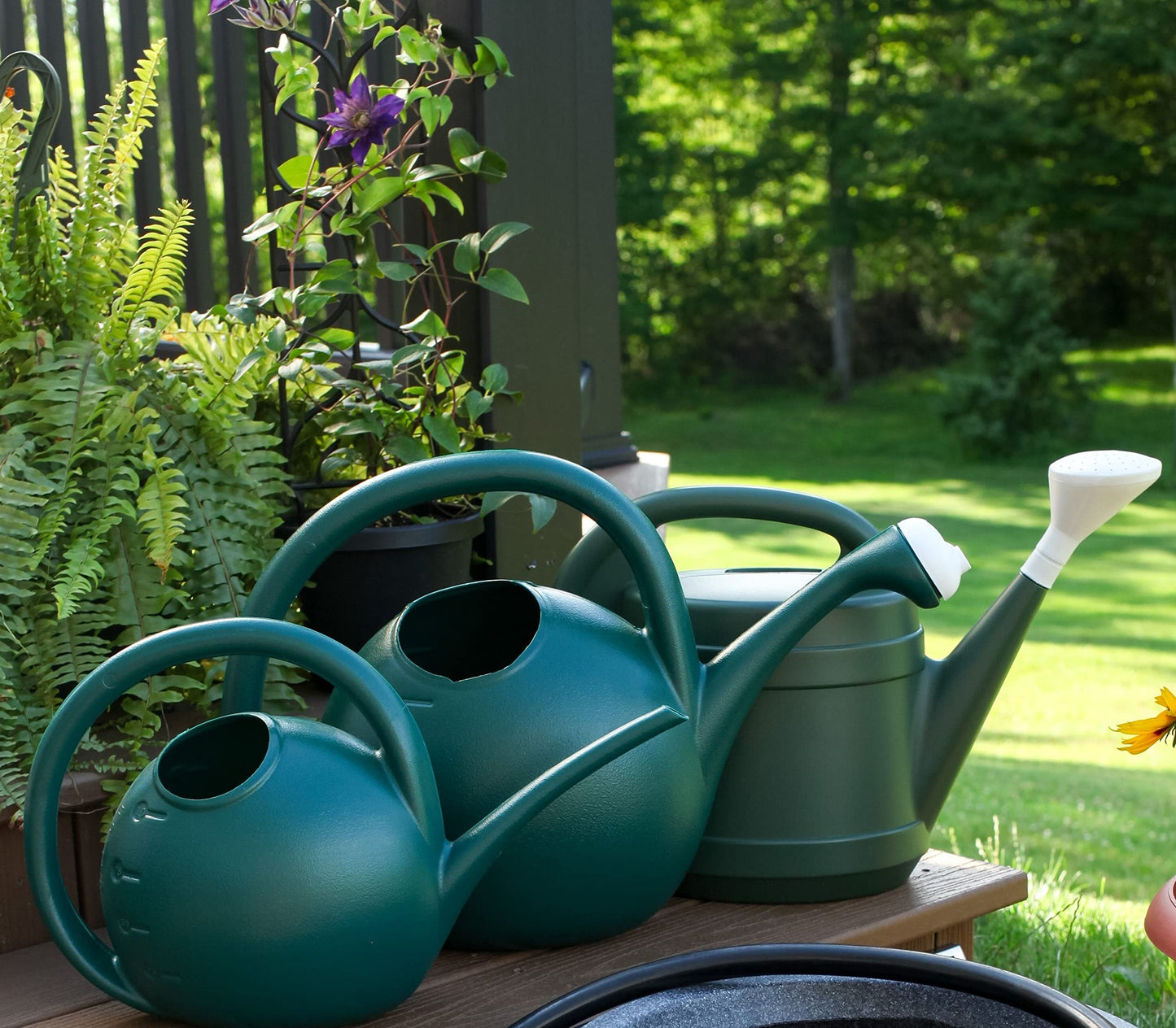 The HC Companies Gal Gr Poly Watering Can