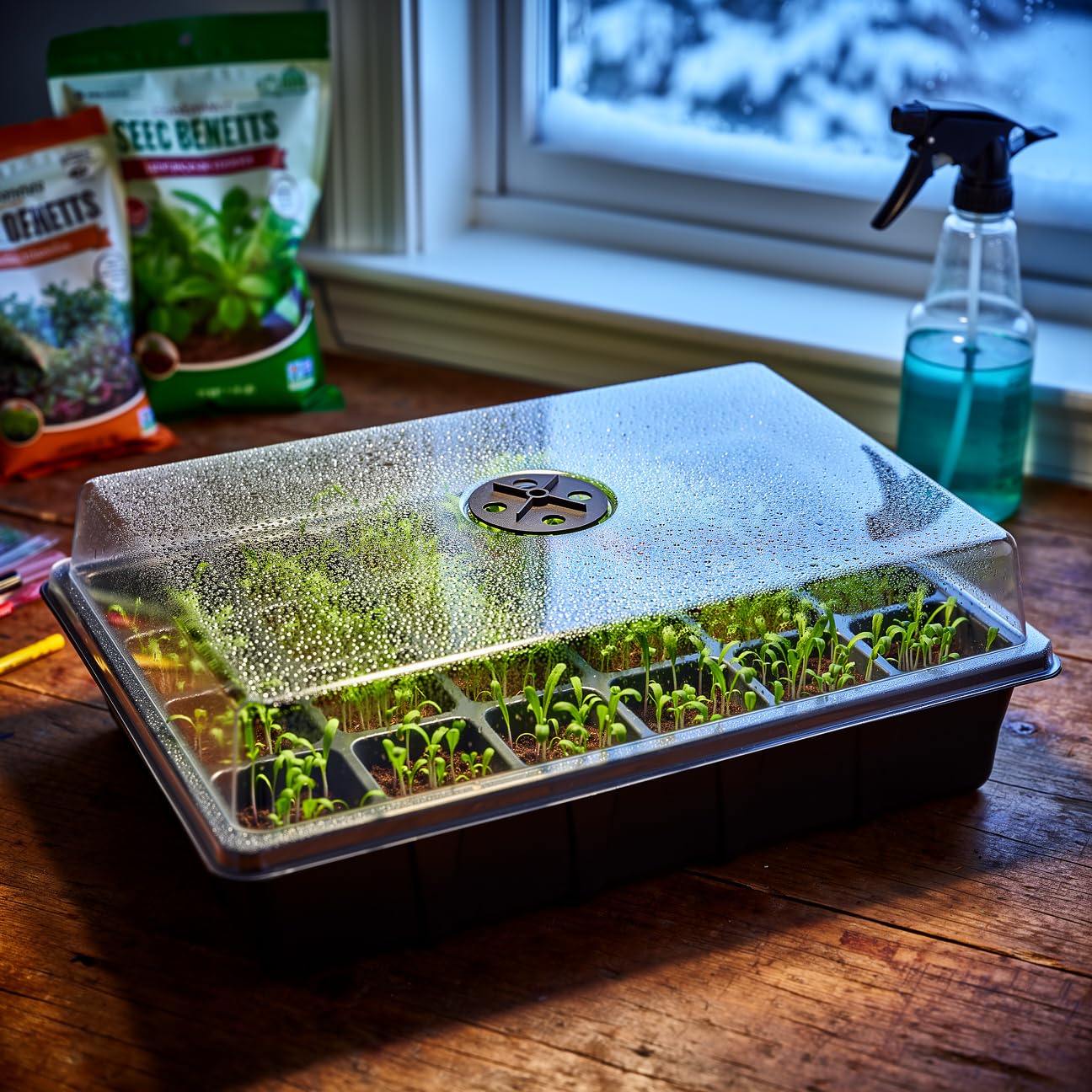 24XL Cell Seed Starter Tray with Dome, 5-Pack 2" Plug Seedling Trays (Total 120 Cells), Plant Germination Tray with Humidity Vented Lid and Base, Mini Propagator Plant Greenhouse for Seed Growing