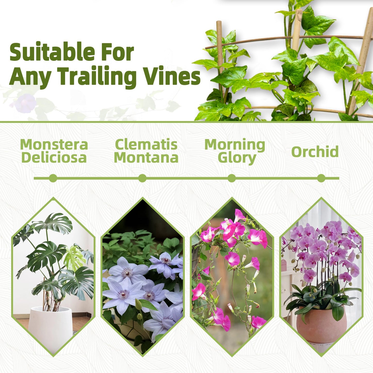 10 Pack 16" Bamboo Trellis for Climbing Plants-Natural Garden Ladder Fan -Shaped Plants Support Trellis for Potted Plant Decor in Door