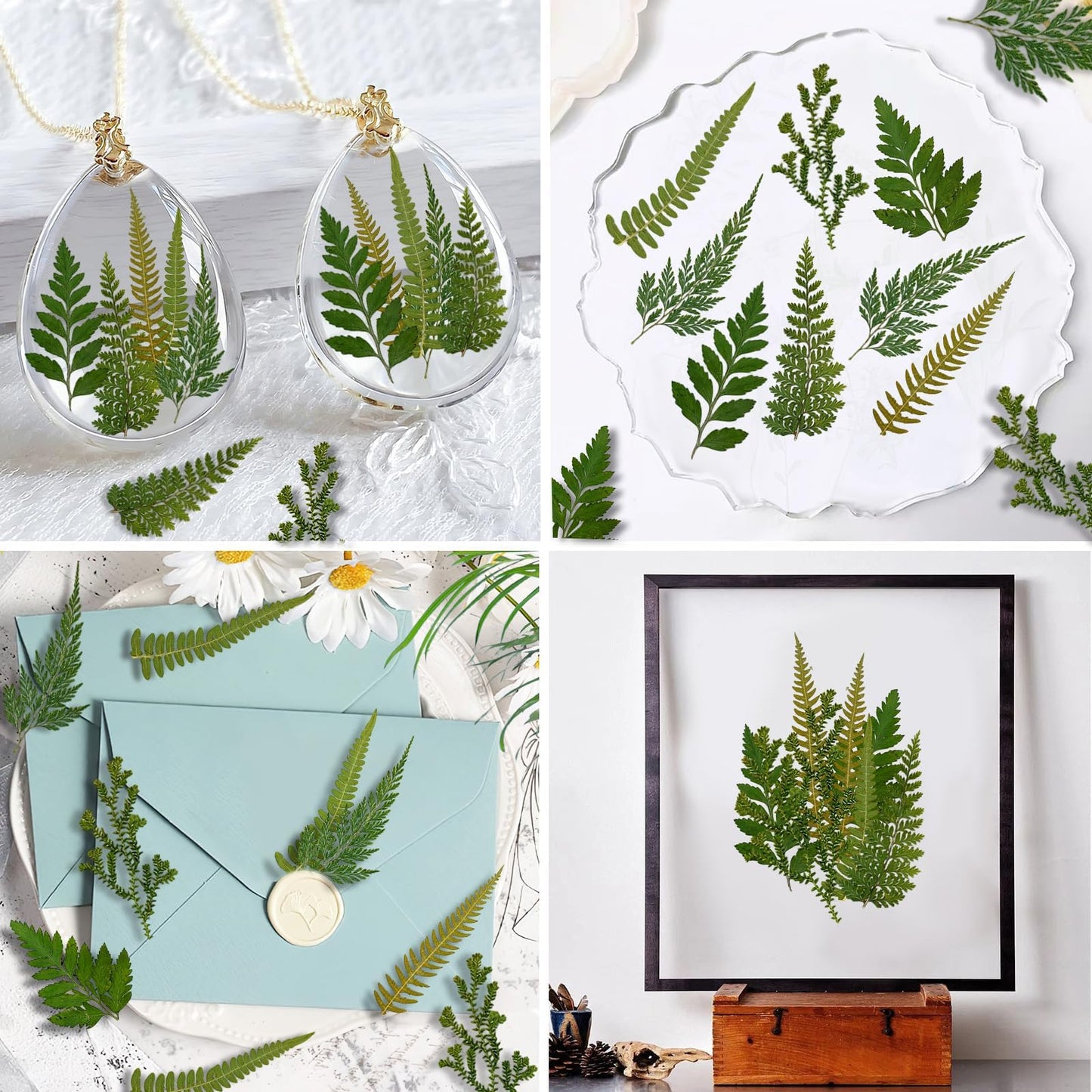 80 Pcs Green Ferns Dried Pressed Flowers Bulk for Crafts, Natural Leaves Greenery for Resin Art, Candle Making, DIY Decoration, Floral Supplies