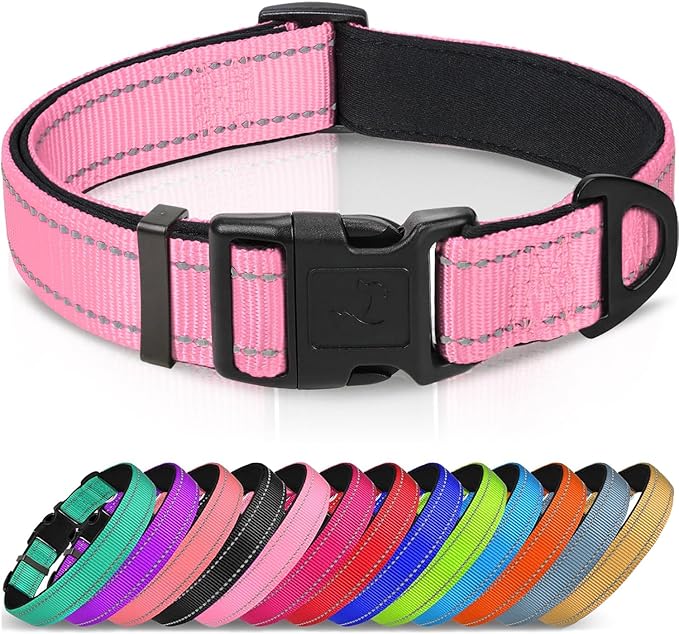 Joytale Reflective Dog Collar, Adjustable Neoprene Padded, Gray XL