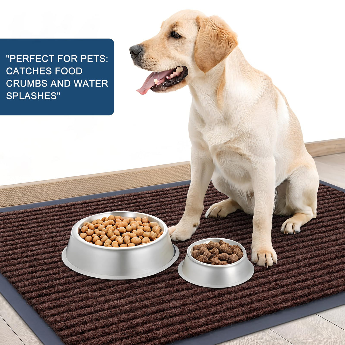 Front Door Mat 47x34