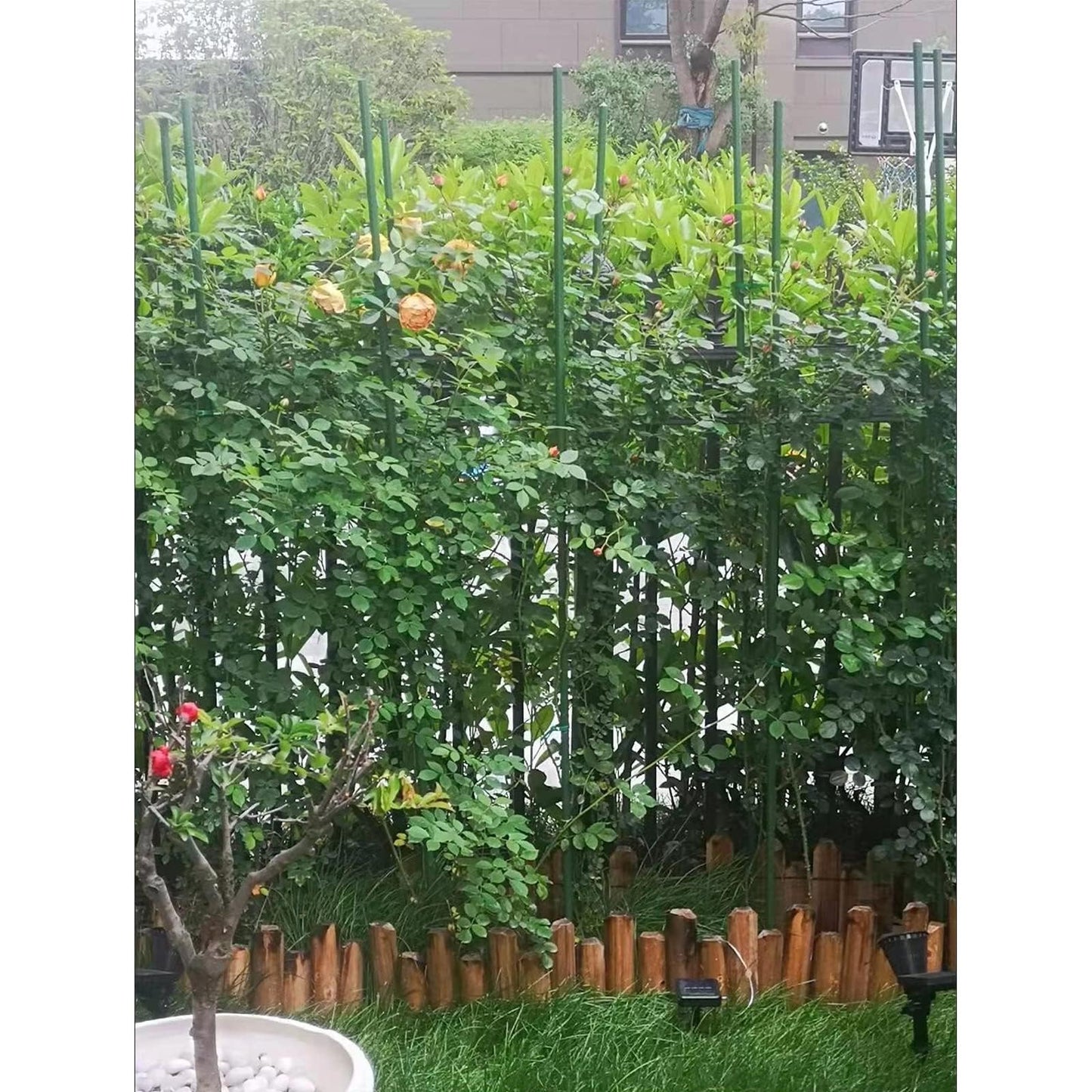 G-LEAF Garden Stakes 5 ft Plastic Coated Steel Tube Sturdy Metal Plant Sticks for Tomato,Cucumber,Bean,Tree,Pack of 25