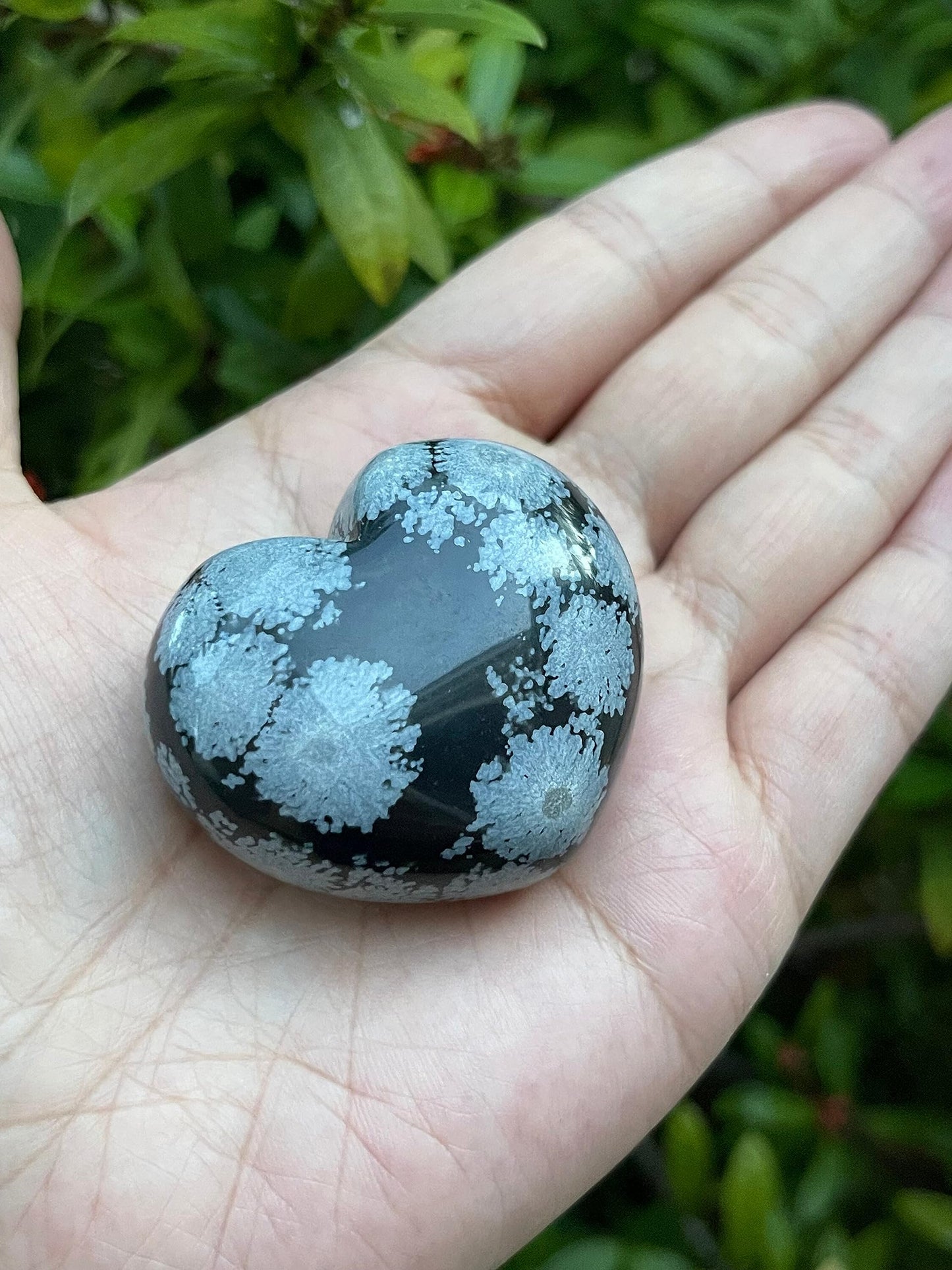 GAF TREASURES Snowflake Obsidian Gemstone Hearts, Polished Snowflake Obsidian Puffy Hearts, Snowflake Obsidian Crystal Palm Stone, Snowflake Obsidian Healing Crystal Hearts (1 Heart)