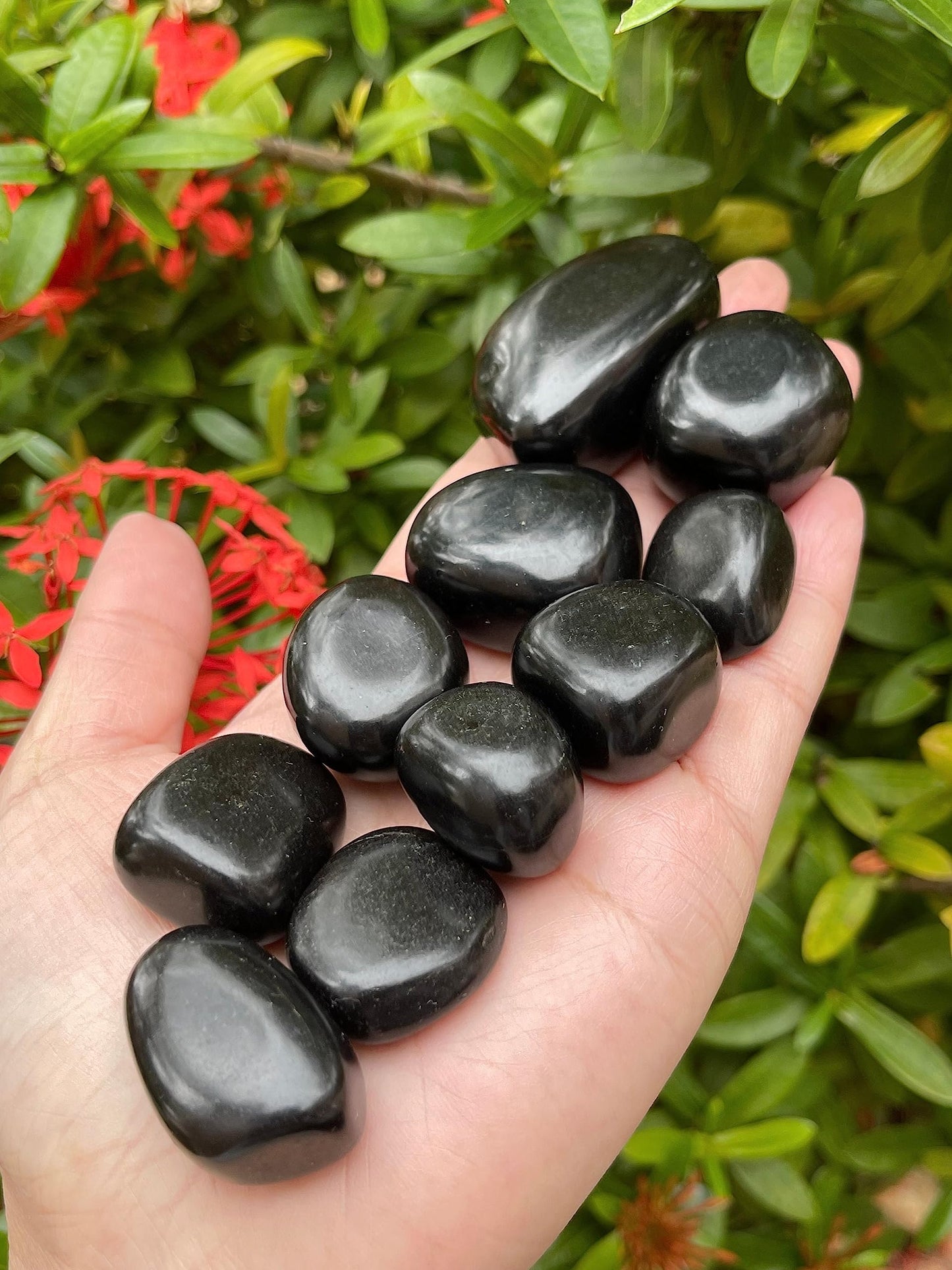 GAF TREASURES 5 Pcs Jet Tumbled Stones, Polished Jet Gemstone, Jet Healing Crystals (Jet)
