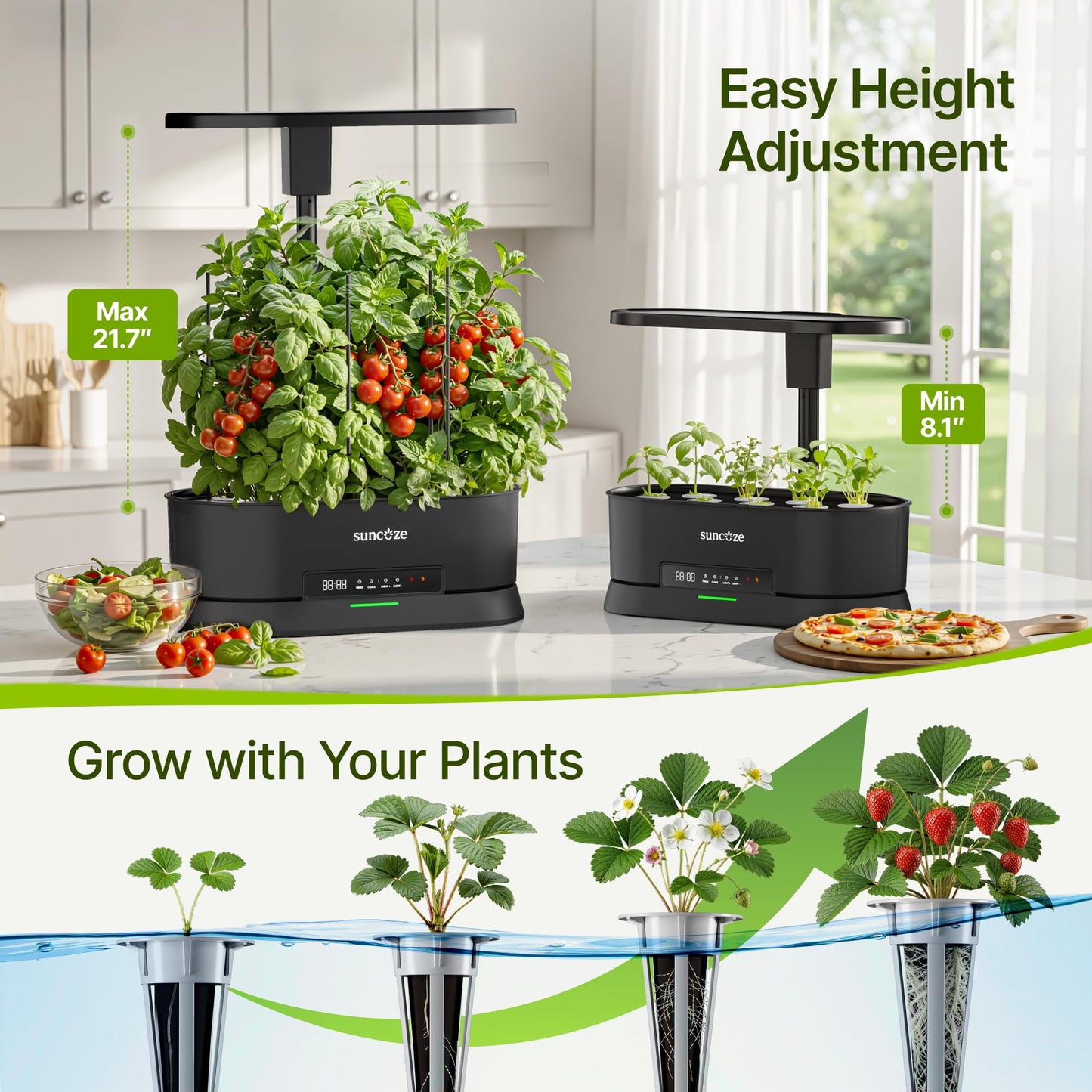 SUNCOZE Hydroponics Growing System Kit with Split Tank, Dimmable 36W Full Spectrum LED Grow Light, 12 Pods Indoor Herb Garden with Timer & Clock Smart Pane, 21.65 Inch Height Adjustable Herb Garden