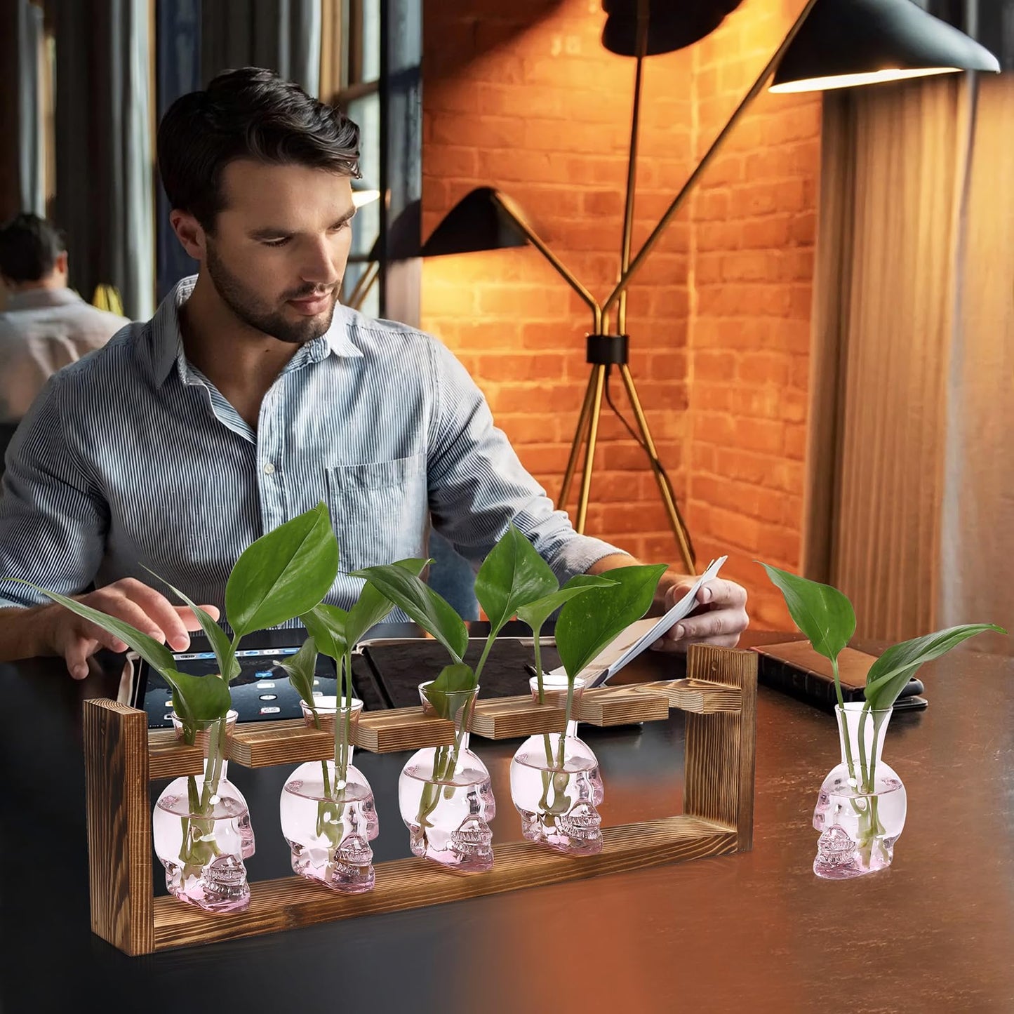 Plant Terrarium Propagation Stations Halloween Skull Planter Vase Skulls Decor with Wooden Stand Gife for Father - 5 Vases