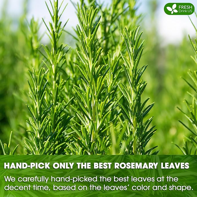 FreshDrinkUS, Premium 40 Rosemary Leaf Tea Bags, 100% Natural and Pure Rosemary Dried Leaves, Pure Herbal Tea, No Additives, No Caffeine, No Gluten, Vegan.