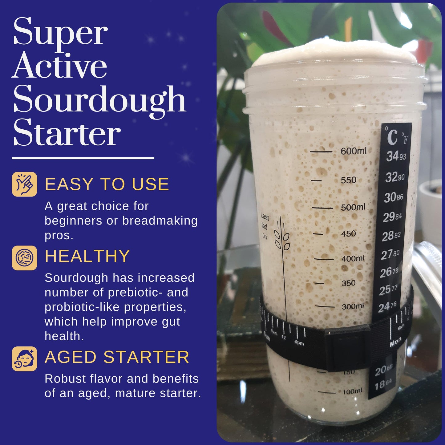 Mature Sourdough Starter Culture – 100+ Years Old Dehydrated Sourdough Starter Kit for Delicious Homemade Sourdough Bread – All-Natural and Healthy - Beginner Friendly, Fast reactivation and Expert Support