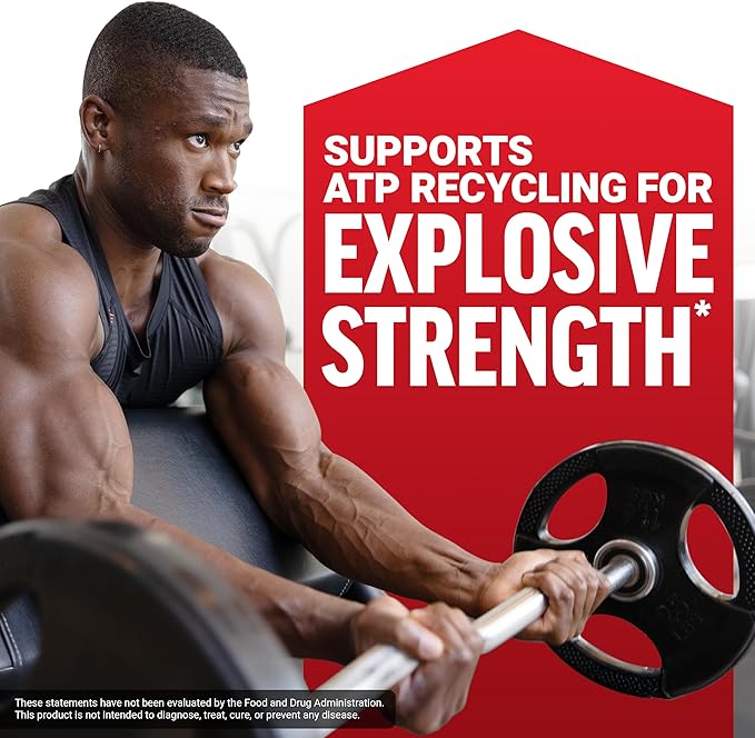 FORCE FACTOR Creatine Monohydrate Powder, Micronized Creatine for Muscle Growth, Strength & Recovery, Clinically Studied 5g Dose per Serving, Unflavored, 100 Servings
