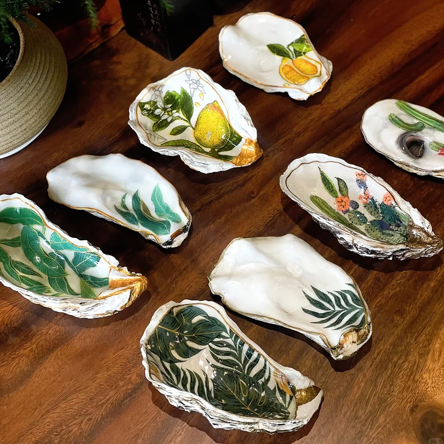 TaoQ C 20 PCS Oyster Shells 4"-5" Large Oyster Shells Natural Seashells for Crafts Beach Theme Party Fish Tank and Vase Filler Home Decoration