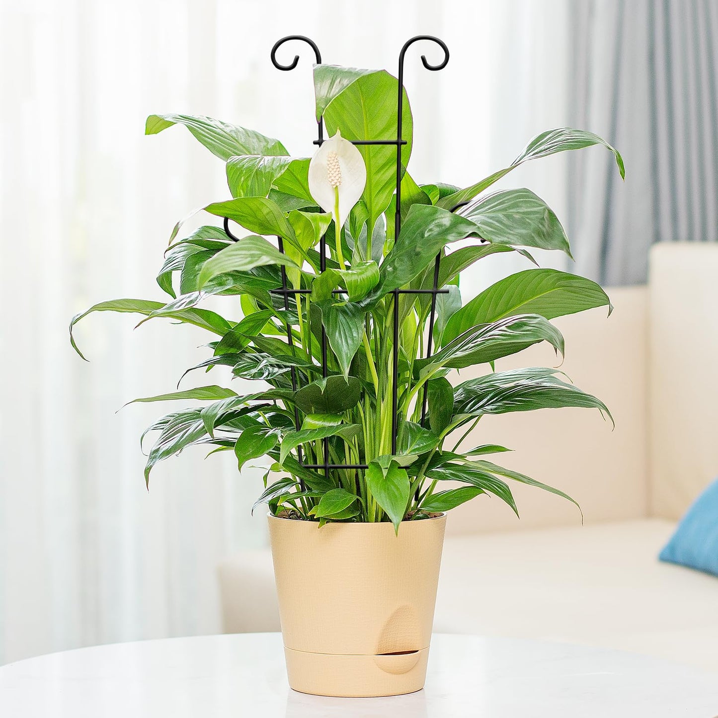 Xeeol Plant Trellis for Potted Plants 2p, Larger 23in Garden Trellis for Climbing Plants Indoor Outdoor, Rustproof House Plant Support Stakes for Pothos Hoya Ivy Flower