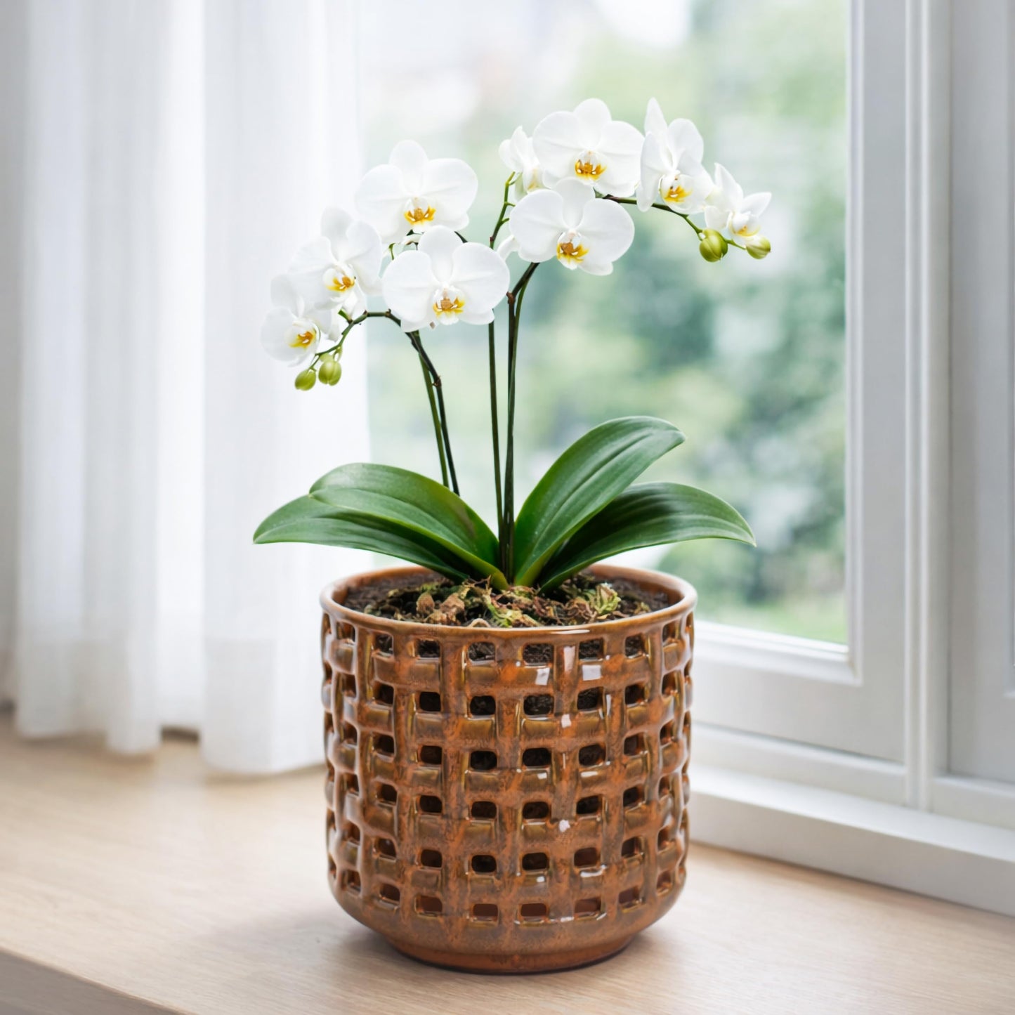 D'vine Dev 6.7 Inch Ceramic Orchid Planter with Lattice Cutout Design, Glazed Cachepot with Clear Nursery Pot & Detachable Saucer for Orchids and Indoor Plants, Pumpkin, 28-A-Y-5