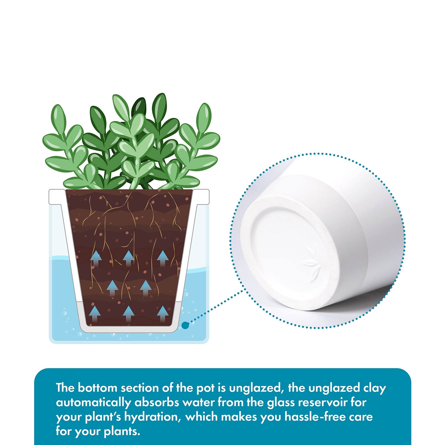 D'vine Dev 4 Inch Design Self Watering Planter for Indoor Plants, White Terracotta Pots with Cylinder Glass Cup, Set of 2, 37-Y-A-2