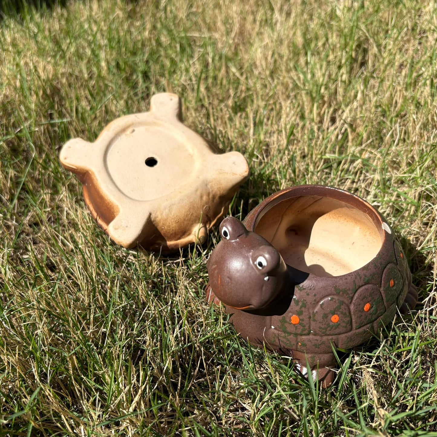 LLYSTTDS Turtle Plant Pot Animal Garden Pots Ceramics Succulent Planter Tabletop Decorations for Home Office Desk Mini Ornament（Does not Contain Plants）