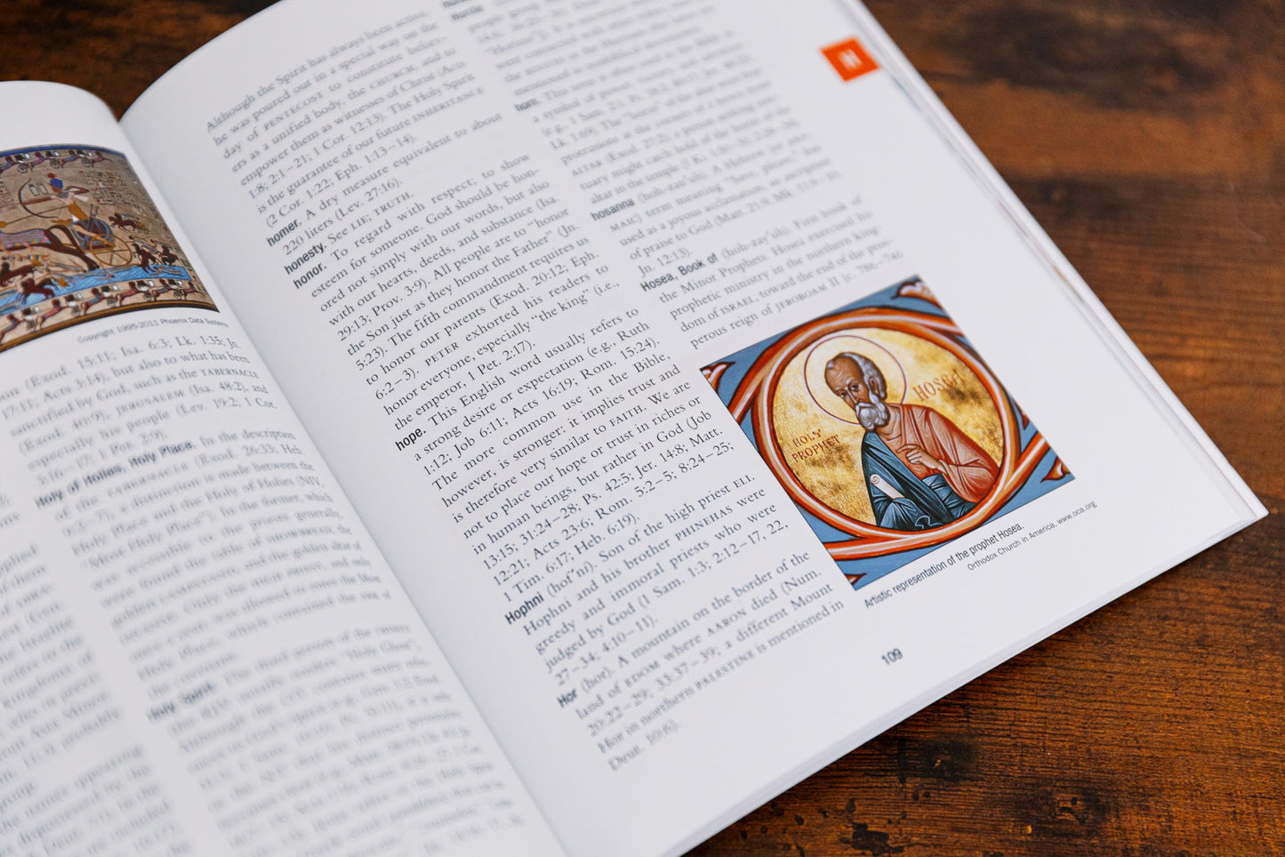 The Essential Bible Companion: Key Insights for Reading God’s Word (NIV Application Commentary Resources)