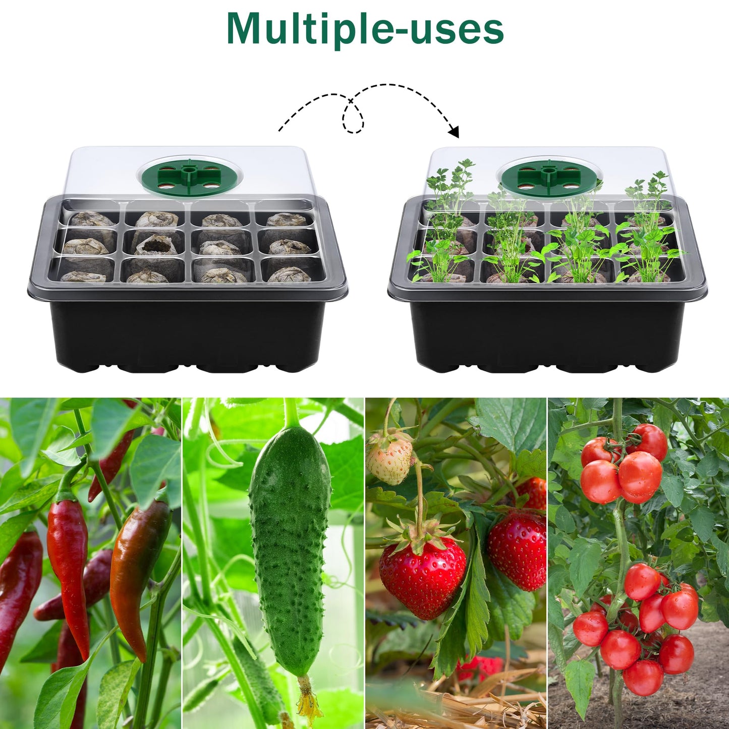 Hahood 6 Pack Seed Starter Tray Kit with Grow Light and Humidity Dome Germination Trays with 72 Peat Pellets, Plant Labels, Gardening Tools, Plant Growing Trays for Seeds Growing Starting, Black