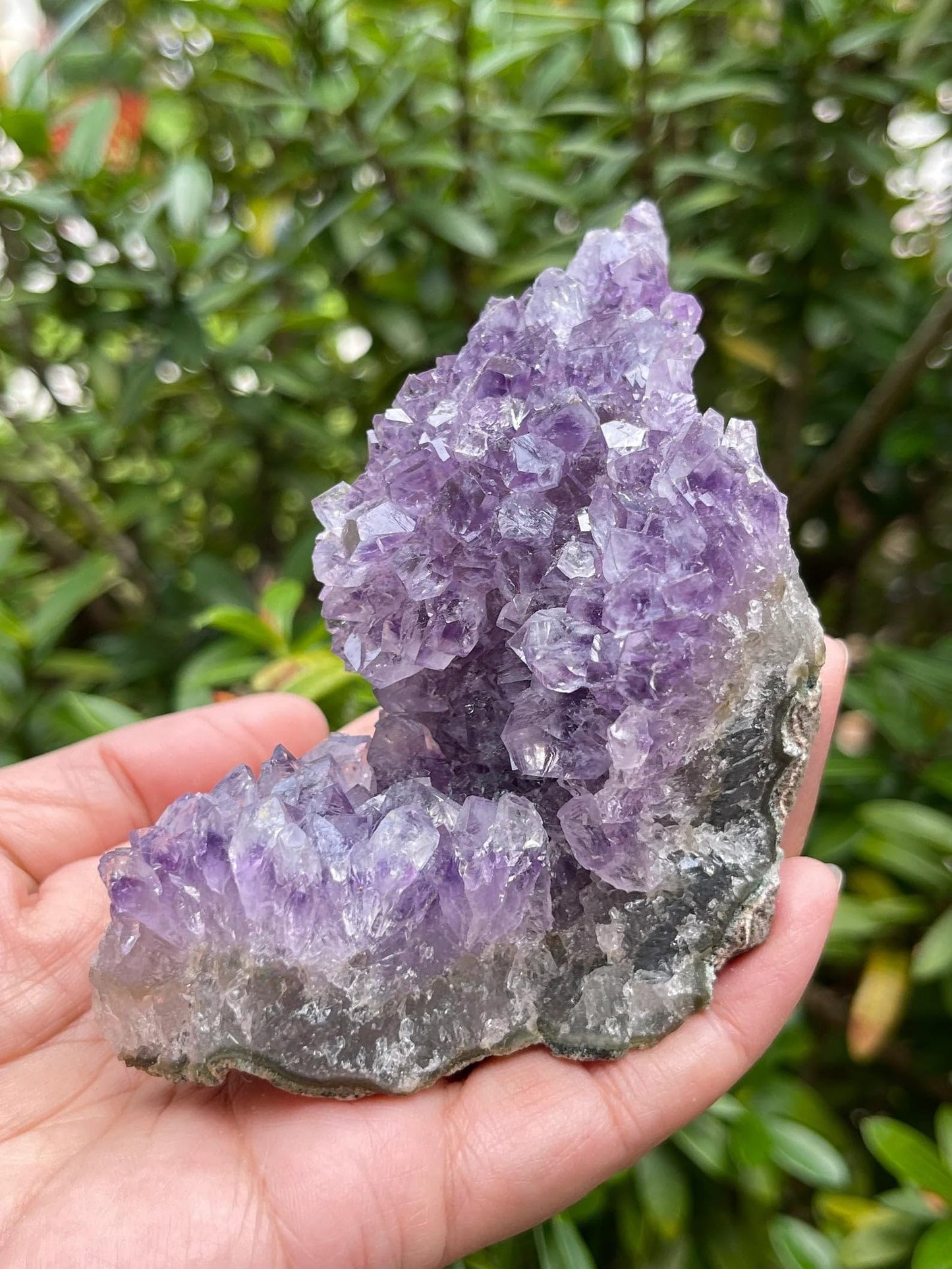 GAF TREASURES XL Raw Amethyst Cluster, 3-4" Natural Rough Amethyst Cluster, Amethyst Cluster Rough, Amethyst Cluster Healing Rough Crystal (Amethyst Cluster, 0.5-1 lb)