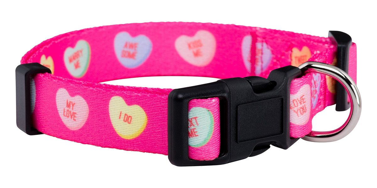 Native Pup Valentine’s Dog Collar- Valentines Day Pet Collars- Valentine Girly Hearts- Pink Red Heart- Cute Boy Girl Puppy Gift- Adjustable for Small, Medium, Large Breeds (Blue & Pink Hearts, Medium)