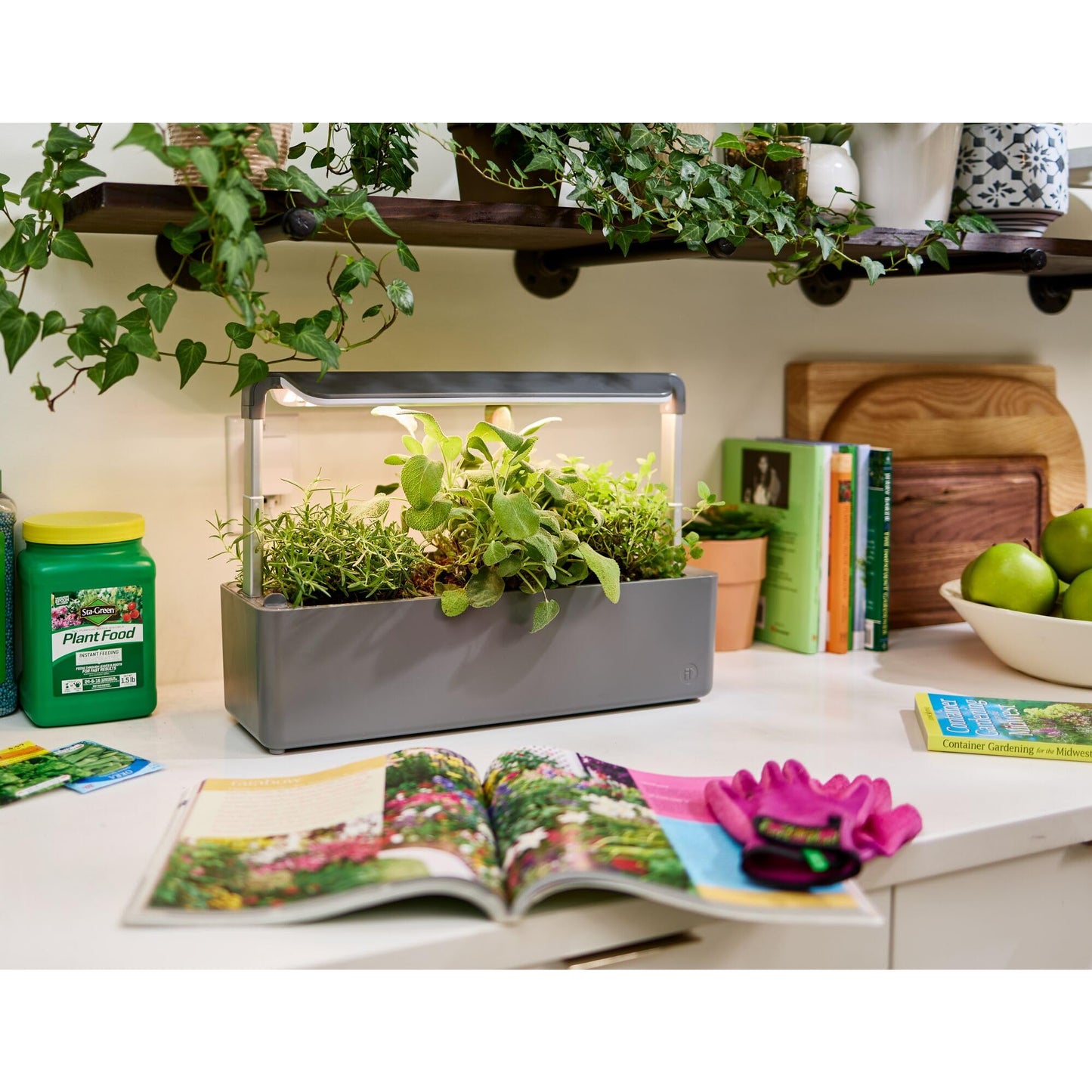 iDesign Countertop Self-Watering Plant Pot Center with Grow Light and 3 Plant Pots, Charcoal