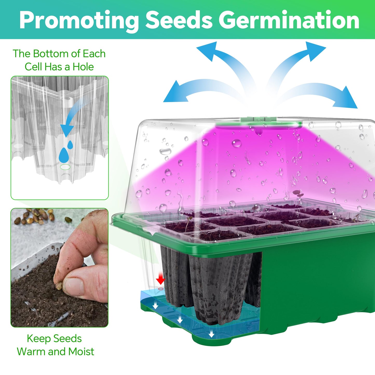 Framokoko 5 Packs Seed Starter Tray with LED Light, Upgraded 60 Cells Seed Starter Kit, Adjustable Brightness & Timing & Vents, Professional Seed Germination Kit for Indoor & Outdoor Plant Growing