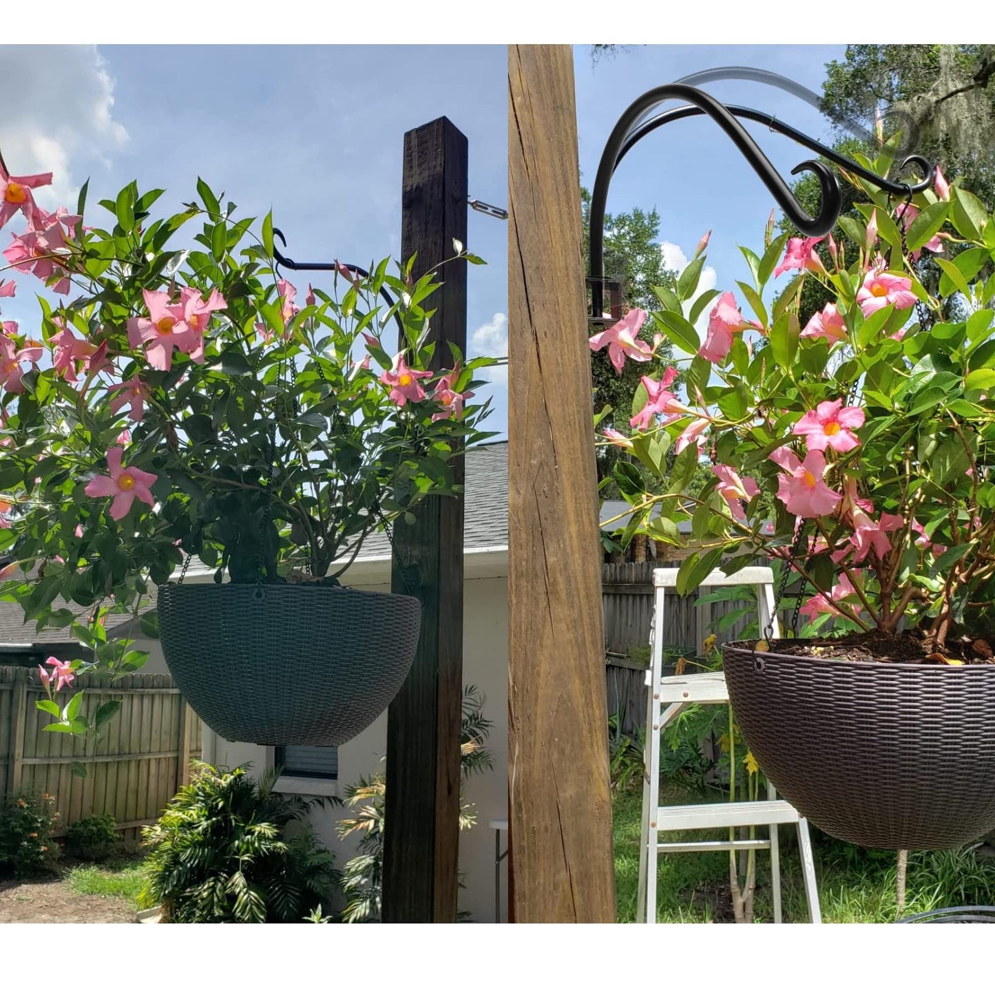 Maosen 12 Inches Swivel Plant Hangers Outdoor - 2 Pack Black Iron Plant Hanging Hook Bracket for Flowers Baskets Planter Pots Bird Feeder Lanterns Wind Chimes