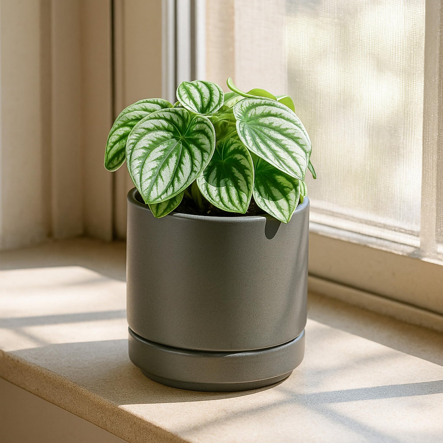 D'vine Dev Set of 2 Plants Pots, 4.7 Inch Ceramic Planter Pot for Plants with Drainage Hole and Saucer, Speckled Grey, 94-V-B-3