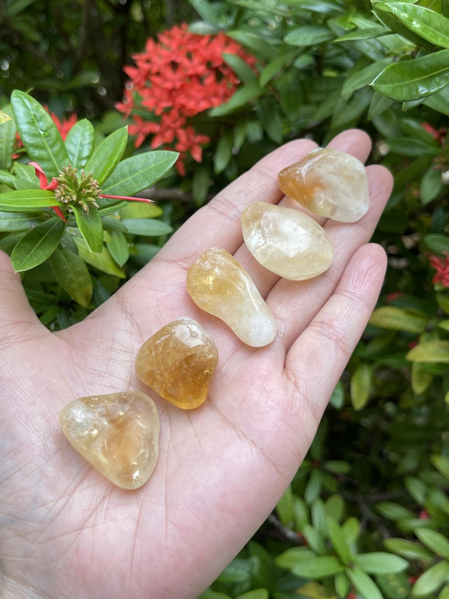 GAF TREASURES 5 Pcs Citrine Tumbled Stones, Polished Citrine Gemstone, Citrine Healing Crystals (Citrine)