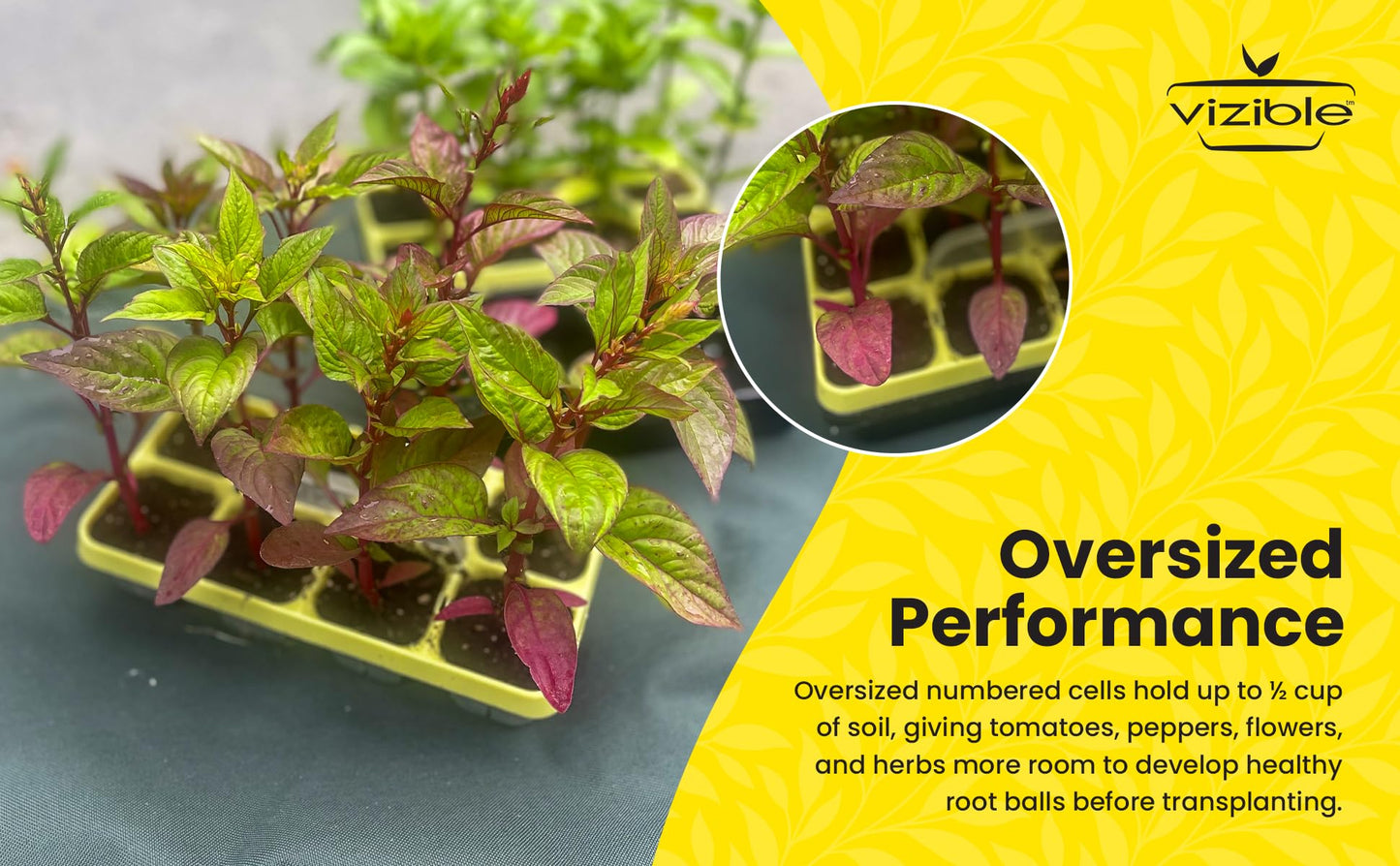 Vizible 16-Cell Seed Starting Tray Caddy | Reuseable Clear Cell Design | Perfect for Vegetables Including Tomatoes and Peppers, Flowers and Herbs (Cosmos Yellow)