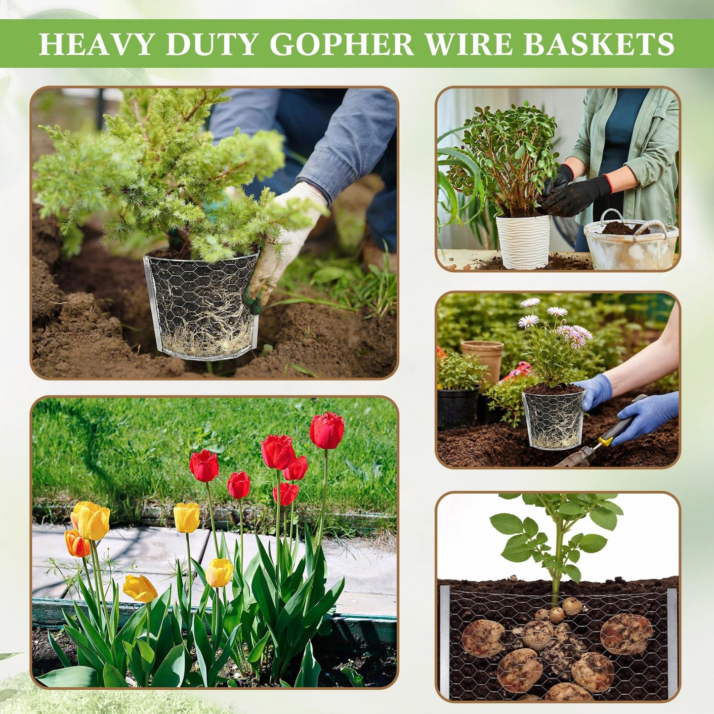 Yaocom 12 Pcs 3 Gallon Heavy Duty Gopher Wire Baskets Hexagonal Galvanized Mesh for Shrubs Vines Bushes Plant Root Protection