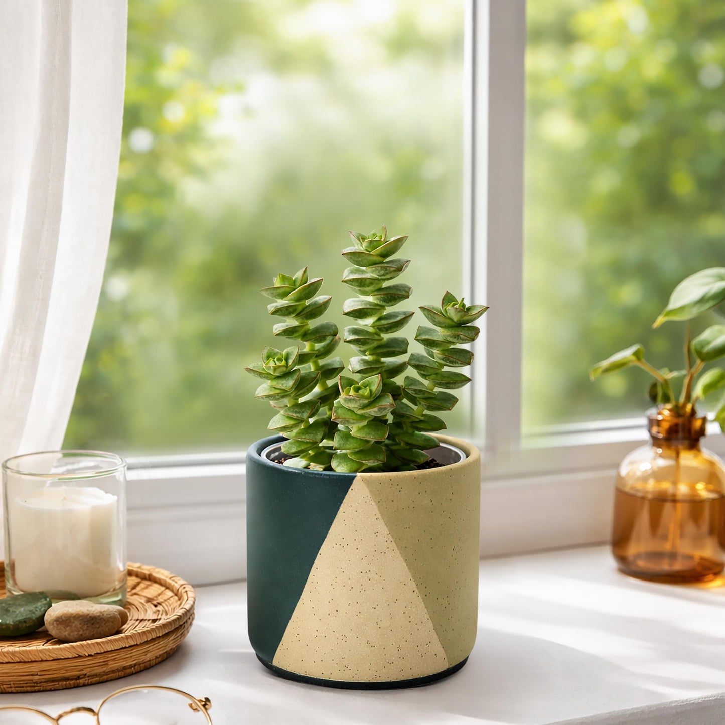D'vine Dev 4.5" Stoneware Cachepot Planter with 4" Clear Nursery Pot & Detachable Saucer – Indoor Plant Pot with Drainage for Bottom Watering & Root Visibility, Desert Forest, Set of 2, 93-V-B-1