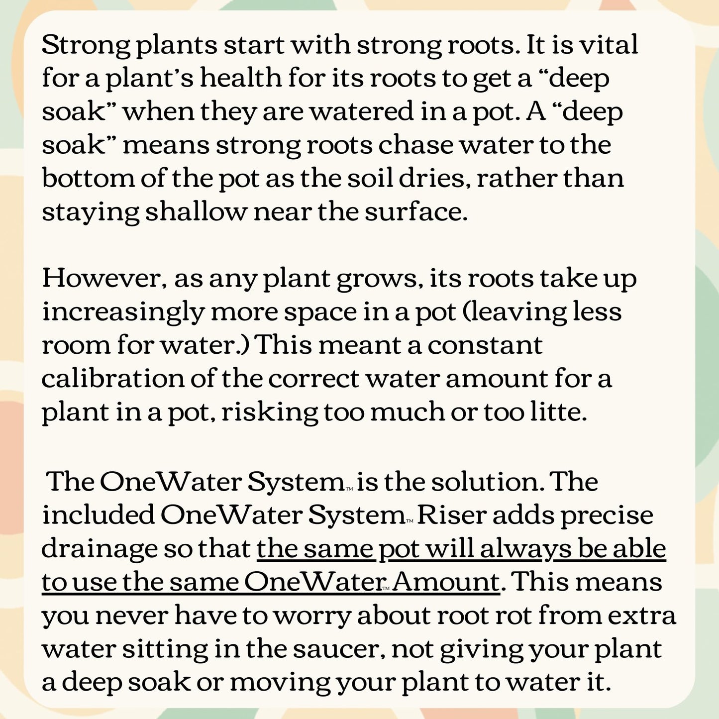 Ceramic Plant Pot and Saucer with OneWater System (5.25" Inches, Cylinder White)