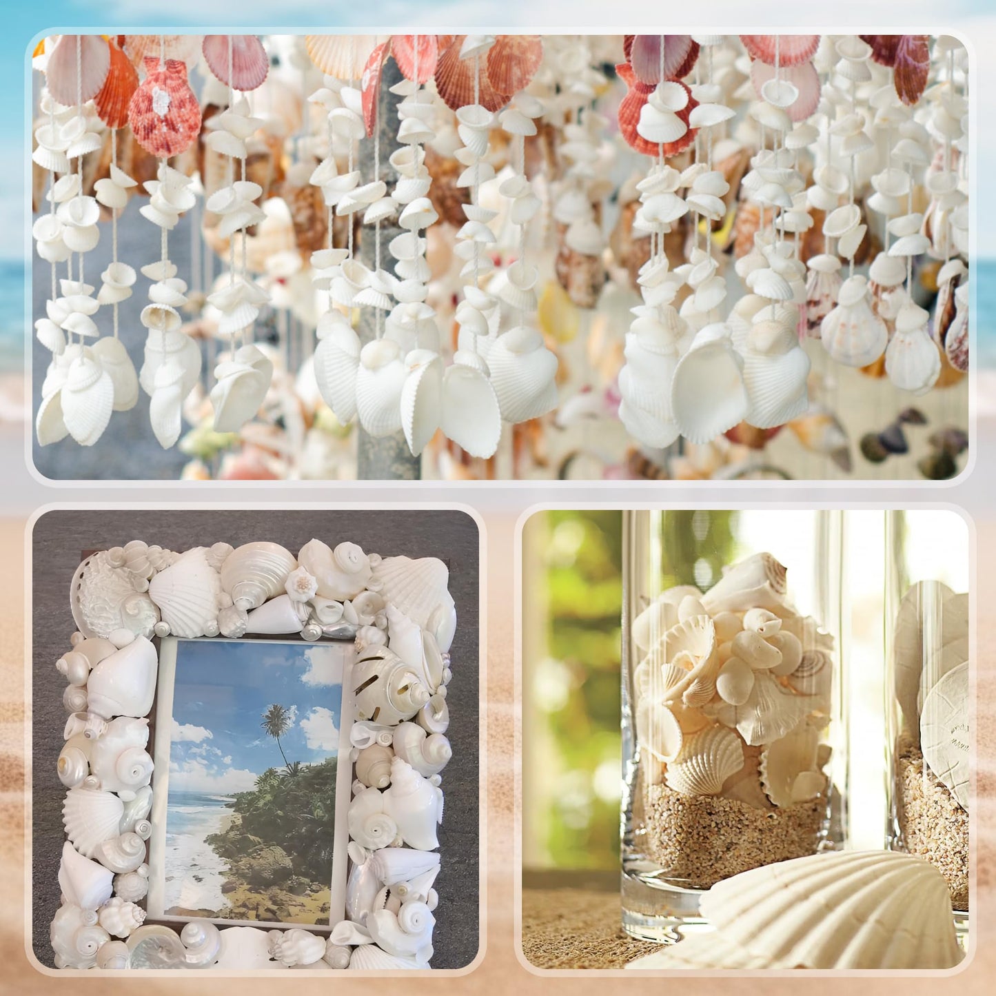 WeDoSoy Silver White Sea Shell Mixed Ocean Shells Set, 1.2"-2.6" Various Sizes Natural Seashell & Starfish for Beach Themed Decor, DIY Crafts, Vase Fillers, Fish Tank, Home, Wedding & Party Decoration