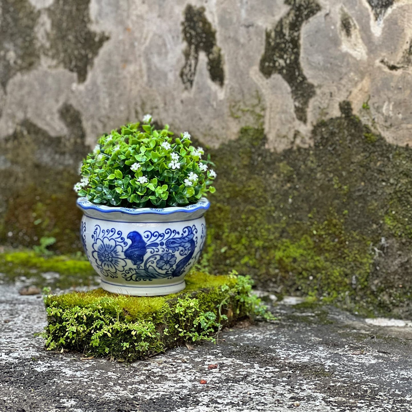 HakkaGirl Blue and White Planters, Succulent Pots Ceramic Plant Pots Indoor with Drainage for Home Décor - Set of 3
