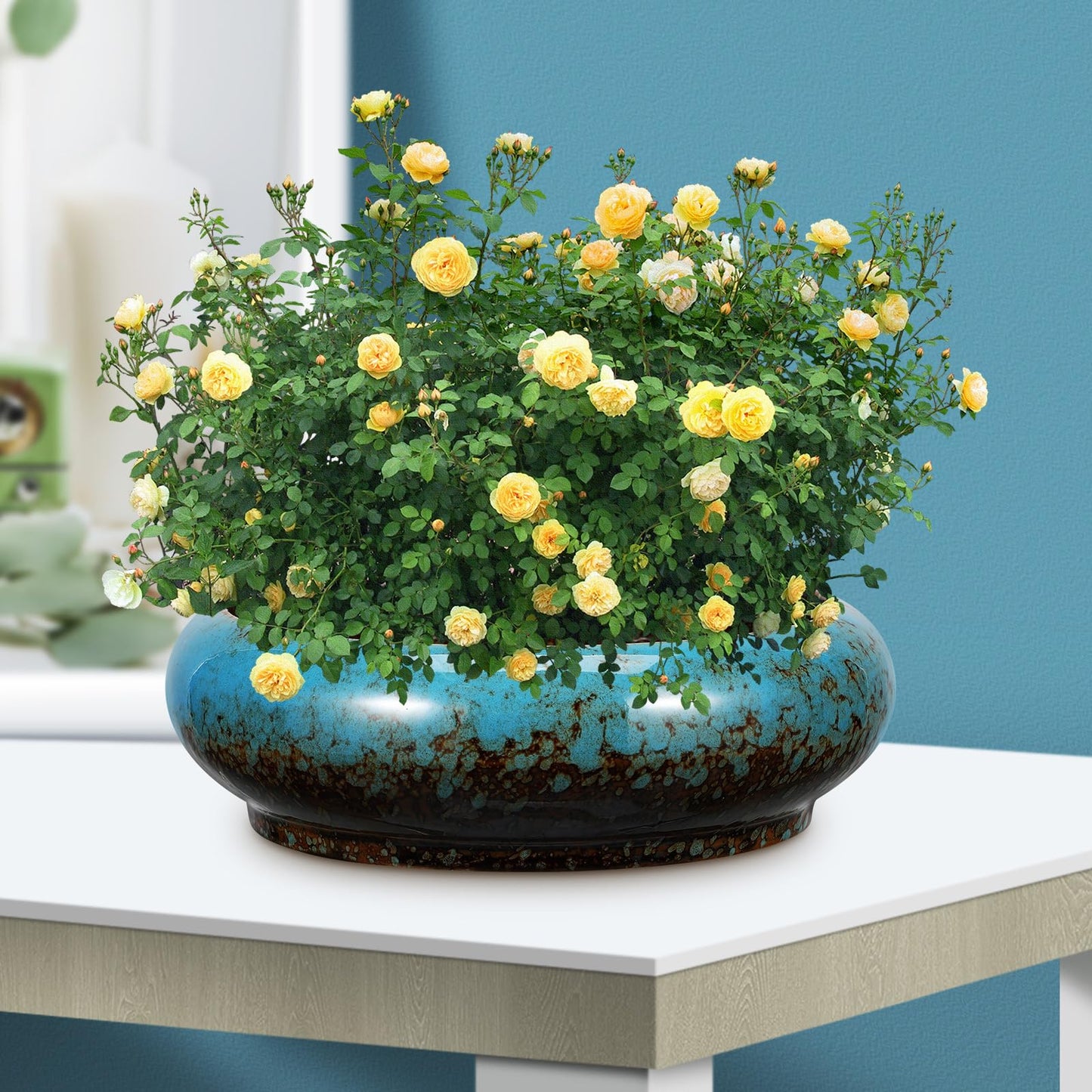 Toddmomy 2pcs Cute Flower Pot with Drainage Ceramic Succulent Planter Bowl Indoor Plant Pot Planter