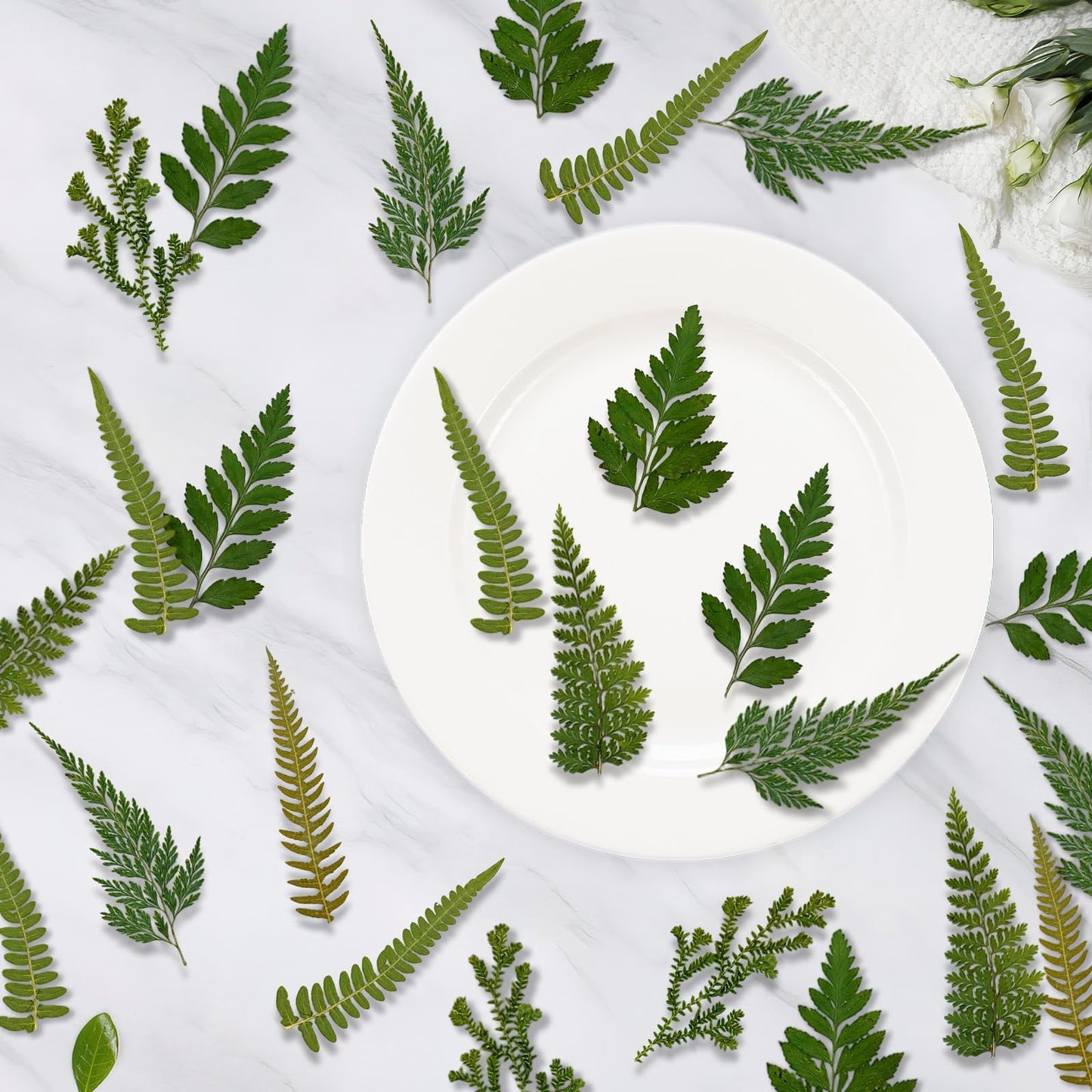 80 Pcs Green Ferns Dried Pressed Flowers Bulk for Crafts, Natural Leaves Greenery for Resin Art, Candle Making, DIY Decoration, Floral Supplies