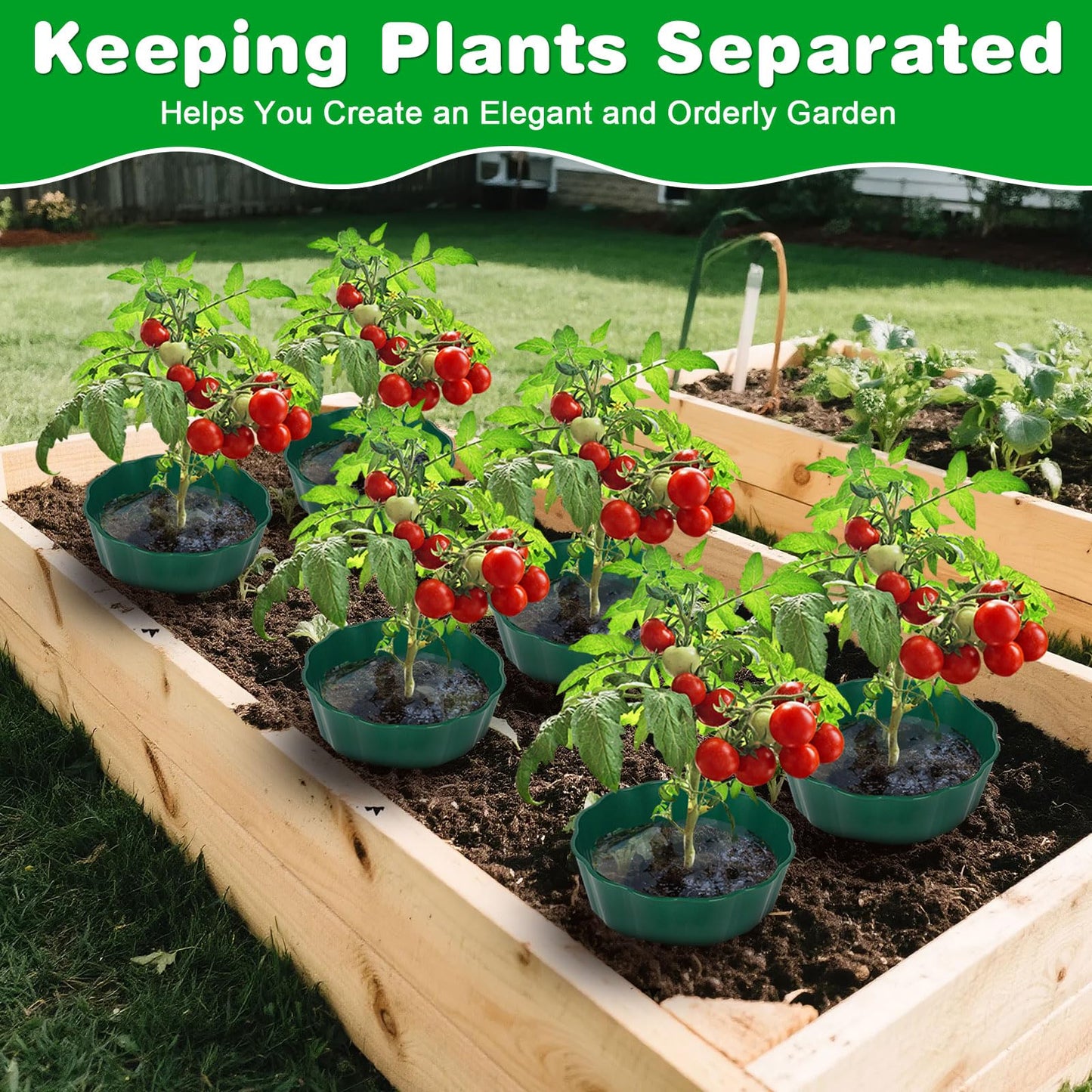 pdpdoc 6 Pack of 10 Inch Planting Grow Rings, Planting Protective Round Garden Edging, Keeping Plants Separated, Weed Control and Directing Water to the Roots (10 Inch - 6 Pack - Green)
