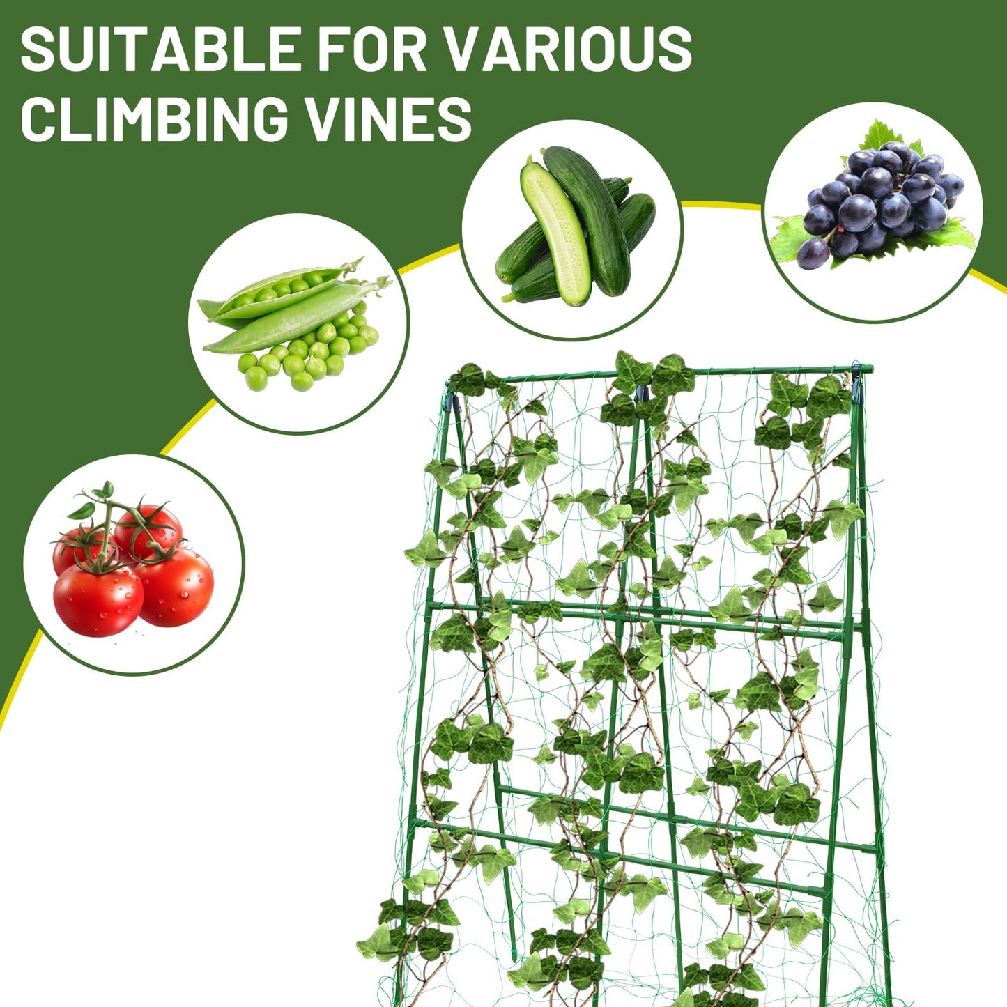 PHENEAHILL Compact A-Frame Plant Trellis for Peas, Beans & Small Climbing Plants - Rust-Resistant, Easy to Assemble, Lightweight Steel, Ideal for Raised Beds & Container Gardens(31" W x 47" H)
