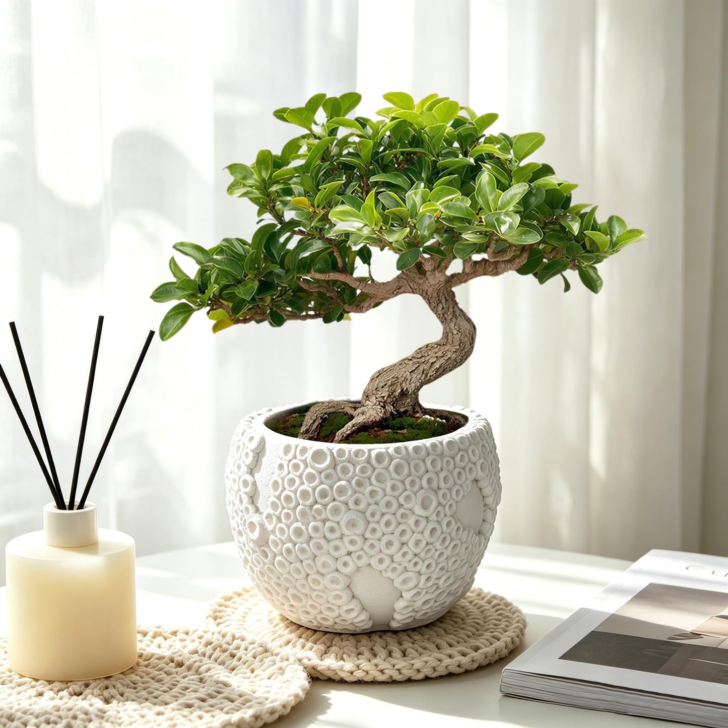 Small Ceramic Bonsai Pot with Drainage Hole, 4 Inch Decorative Bonsai Planter Pot with 3D Coral Texture, Small Ceramic Pots for Plants, Succulents, Cactus, Herbs, Mini Bonzai Tree, Flower Pot, White